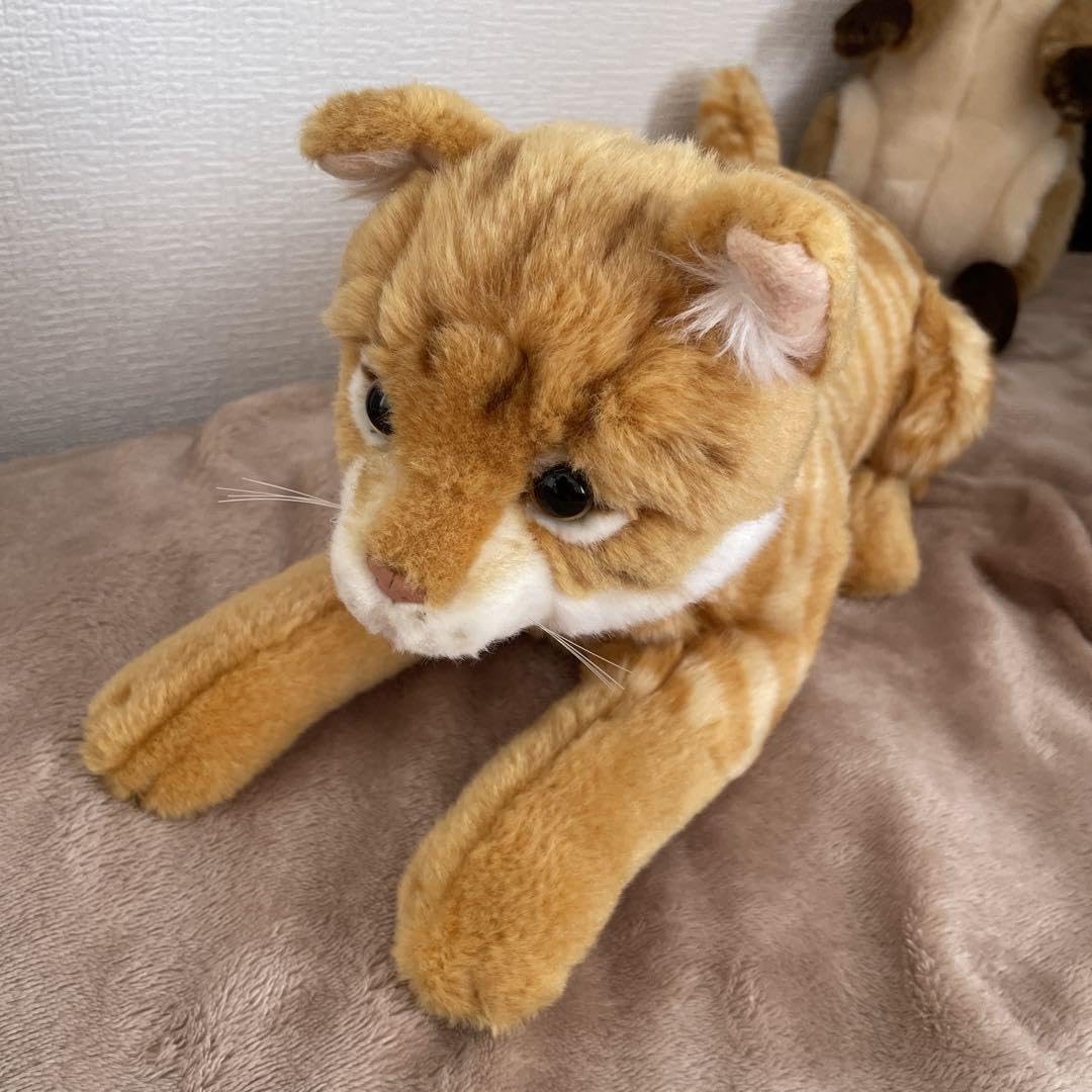 Amazon.co.jp: 本物の猫ちゃんみたいなぬいぐるみ 茶トラ ねこ 人形