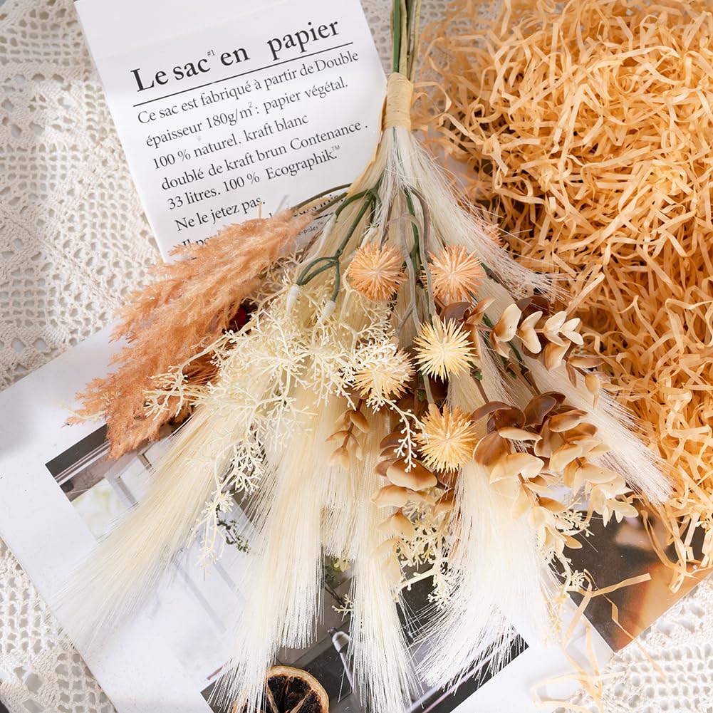 パンパスグラス　３０本 61NZqF-hRjL._UF894,1000_QL80_.jpg