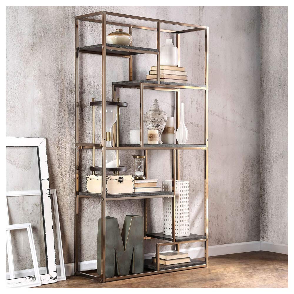 Furniture of America Elvira Champagne Display Shelf