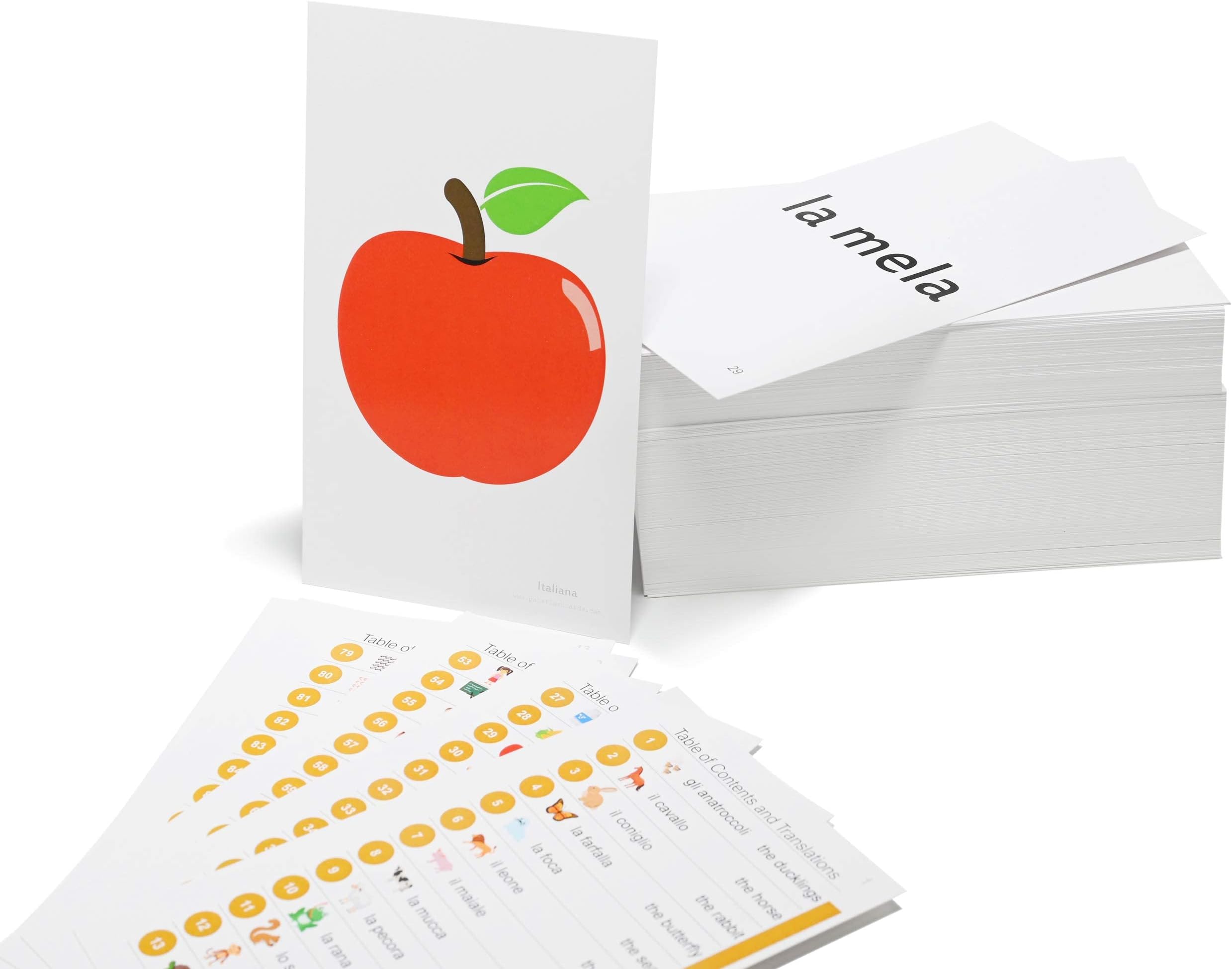 192 Italian Beginning Vocabulary Flash Cards with Original Artwork - for All Ages