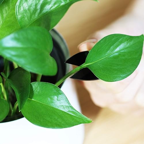 Miniatura 6 de Anley Juego de tijeras de coser de 4 pulgadas, hilo de acero al carbono, cortador de hilo ligero, mini cortaúñas de bordado portátil para bricolaje,