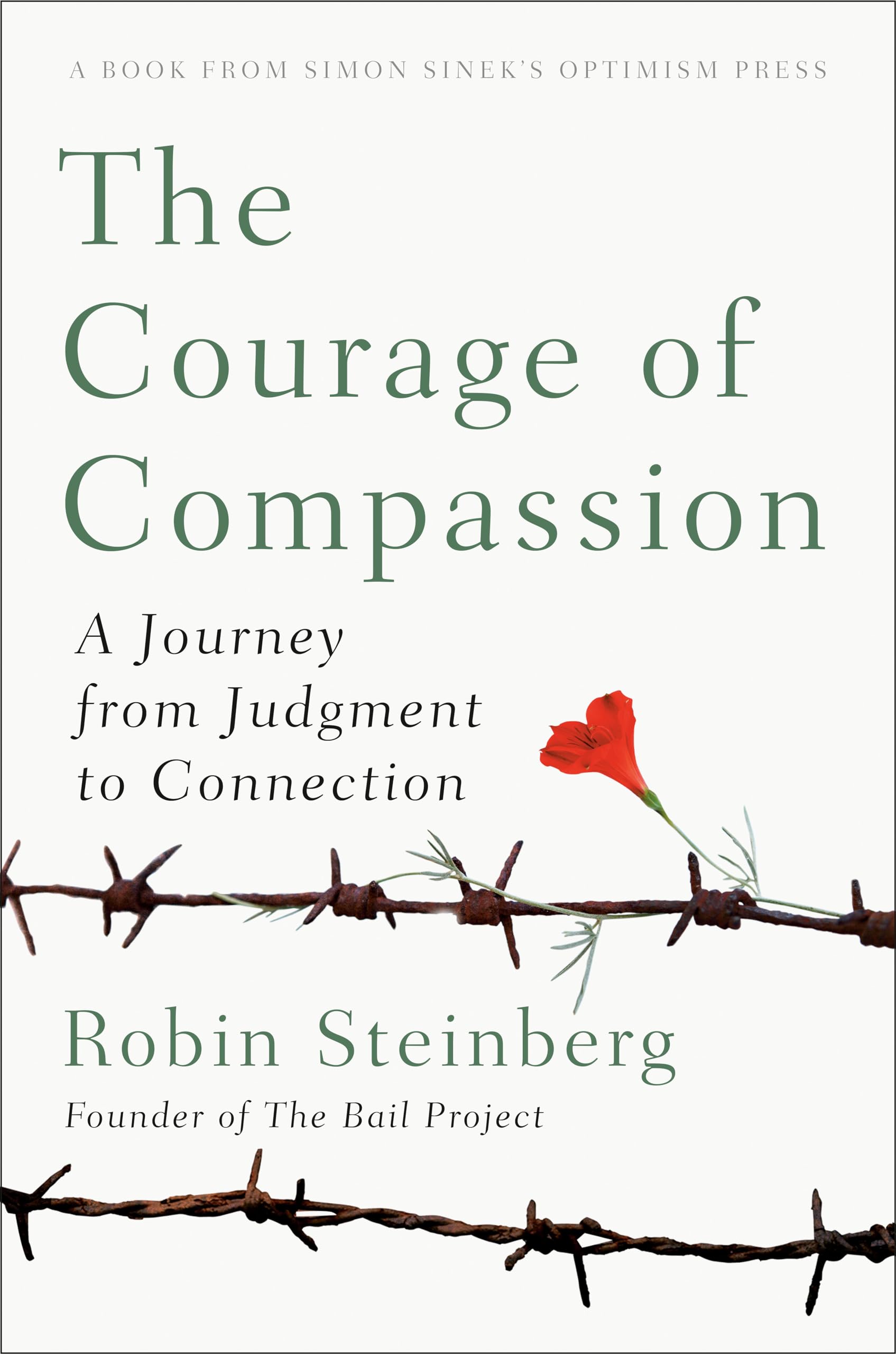 Courage of Compassion, The: A Journey from Judgement to Connection