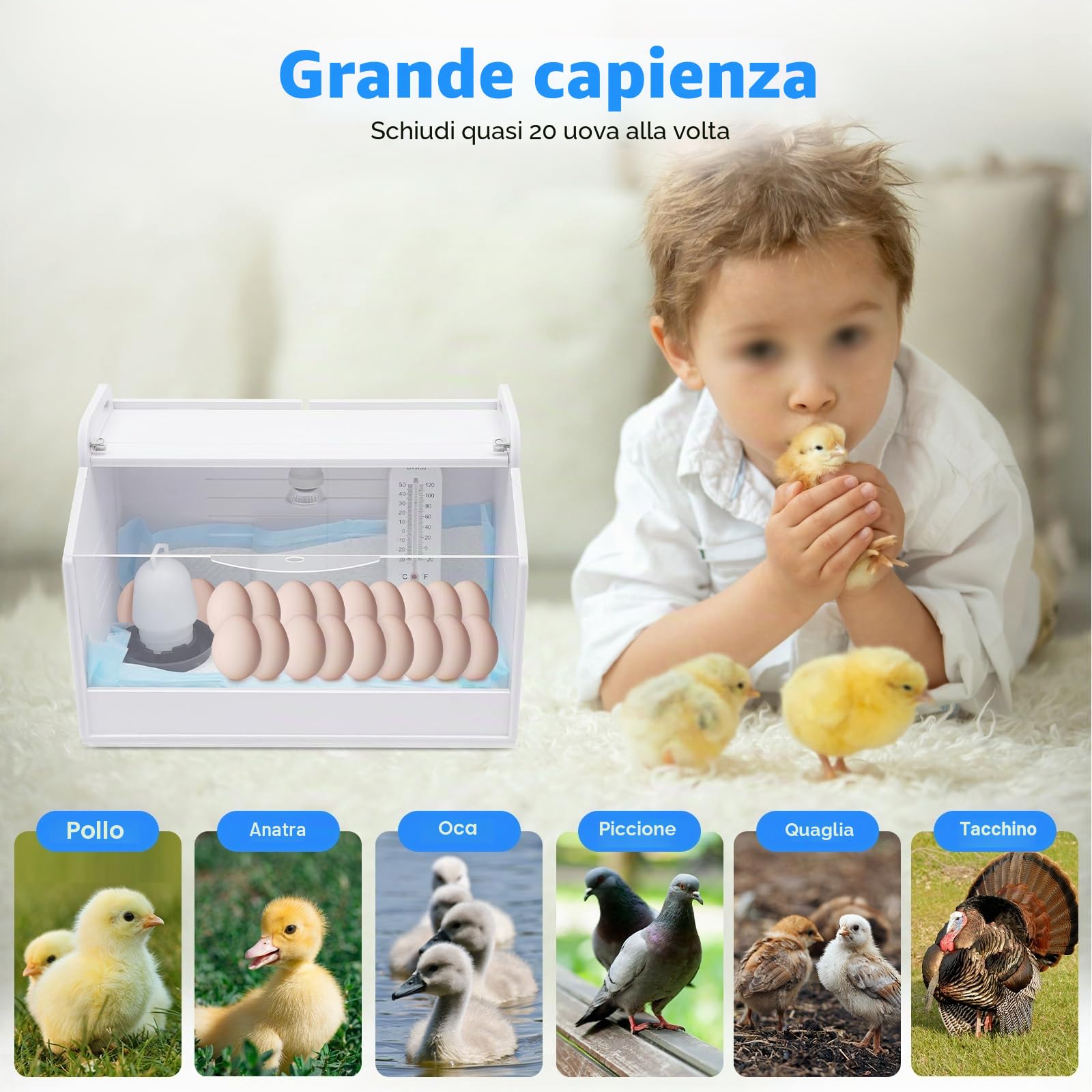 Scatola termica per pulcini, per pollame, pulcini, per pulcini, completamente automatica, con termometro e lampada di calore, per pollame, rettili e piccoli animali