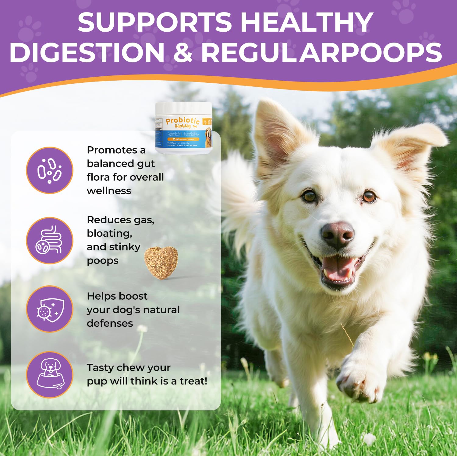 Dog Allergy and Immune Relief Chews - Probiotics for All Breeds and Ages Dogs, Support Gut Digestive Health, Anti Diarrhea, Constipation Relief, Dog Supplements - Pork Flavor - 90 Soft Chews - image 5