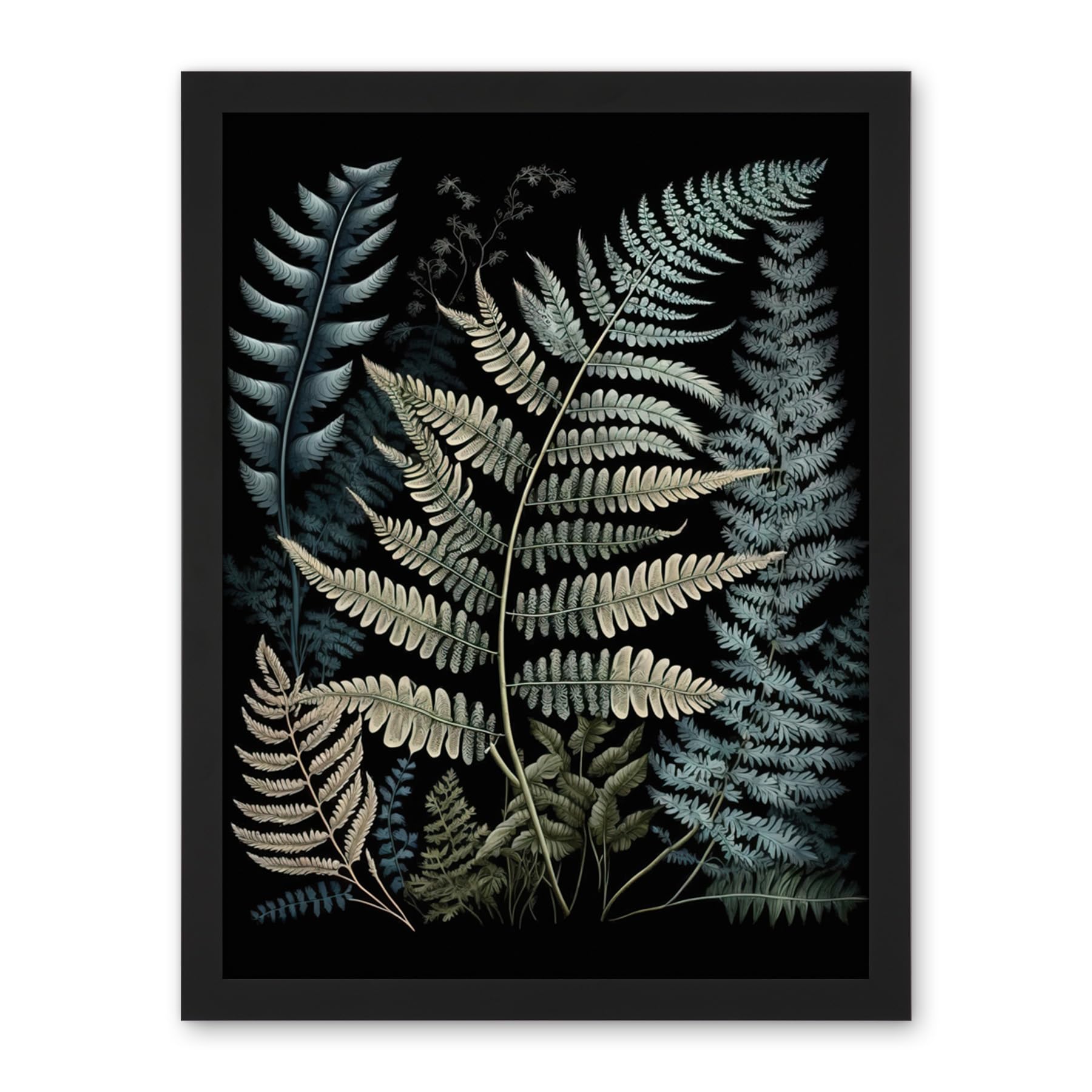 Artery8 Fern Frond Species Detailed Botanical Illustration Artwork Framed Wall Art Print 18X24 Inch