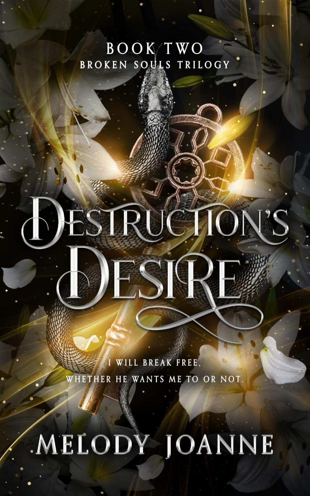 Destruction's Desire (Broken Souls Trilogy)