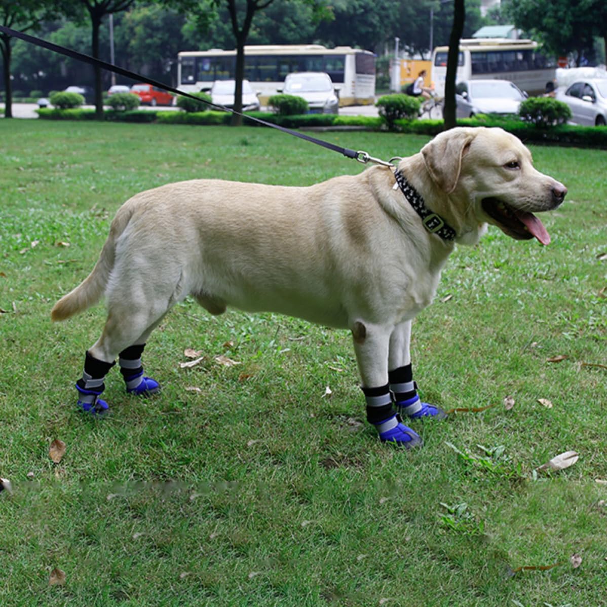 Gatuida 8 Stück rutschfeste Hundeschuhe für Pfotenschutz, Lange Stiefel