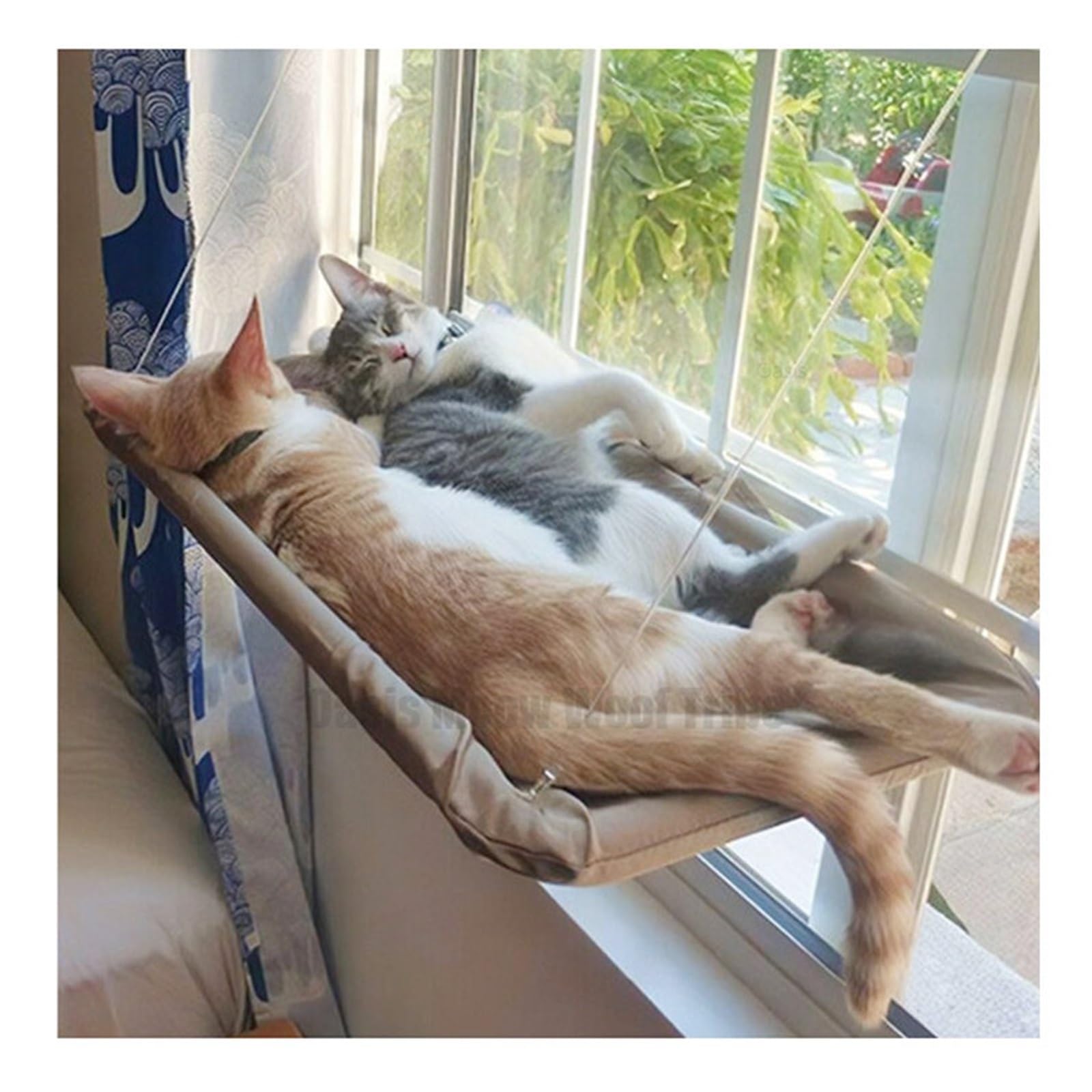 Haustier Katze Hängematte Hängen Bett Lager 20Kg Bequeme Sunny Fenster Sitz Halterung Kätzchen Klettergerüst Zubehör Stabil Komfortabel(Blue)