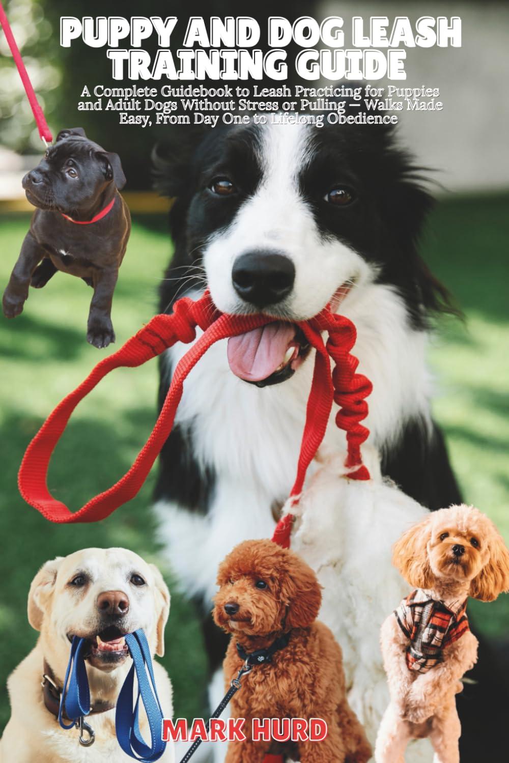 PUPPY AND DOG LEASH TRAINING GUIDE: A Complete Guidebook to Leash Practicing for Puppies and Adult Dogs Without Stress or Pulling — Walks Made Easy, ... Obedience (POSITIVE REINFORCEMENT PET HOME)