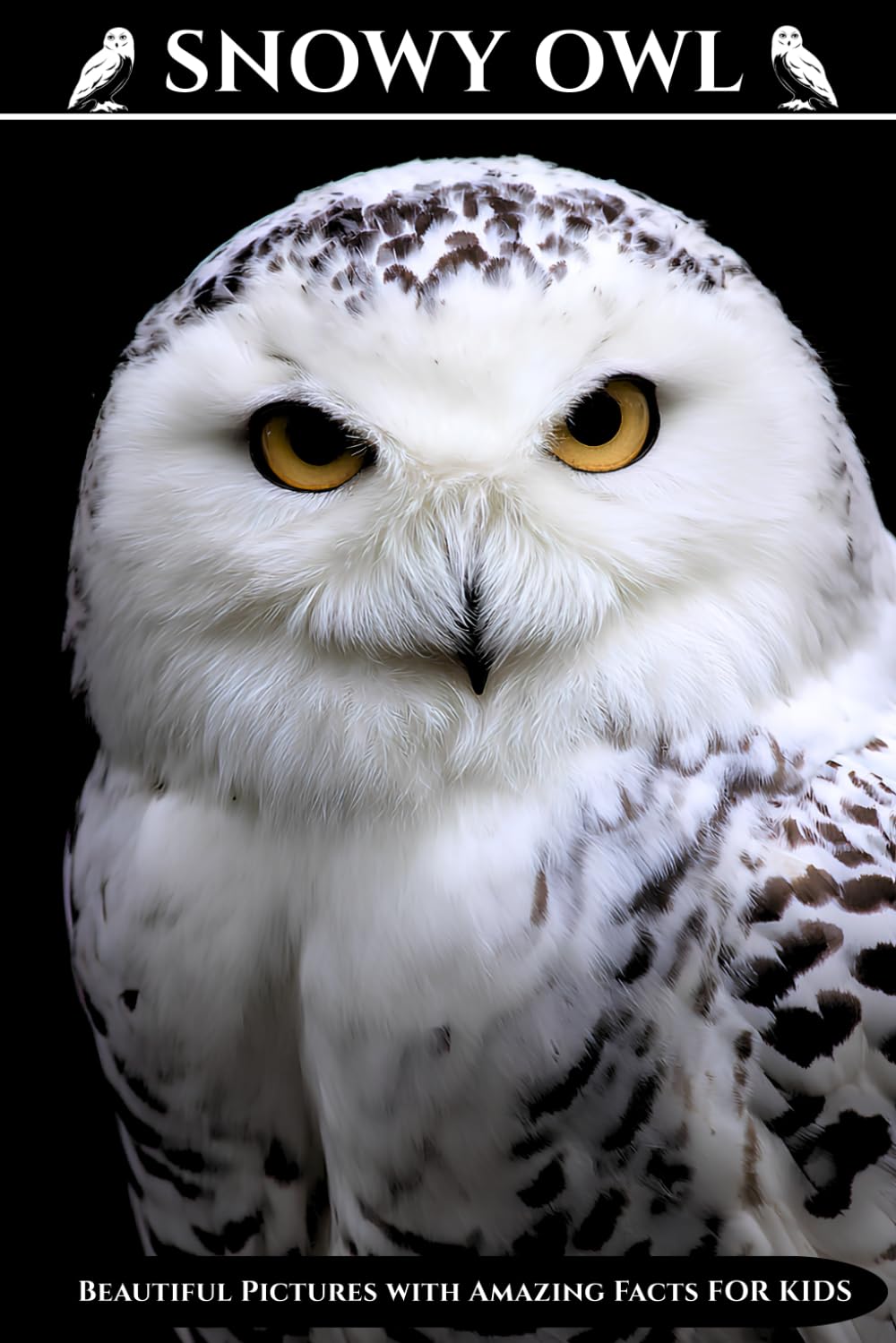 Snowy Owl: Beautiful Pictures with Amazing Facts for Kids
