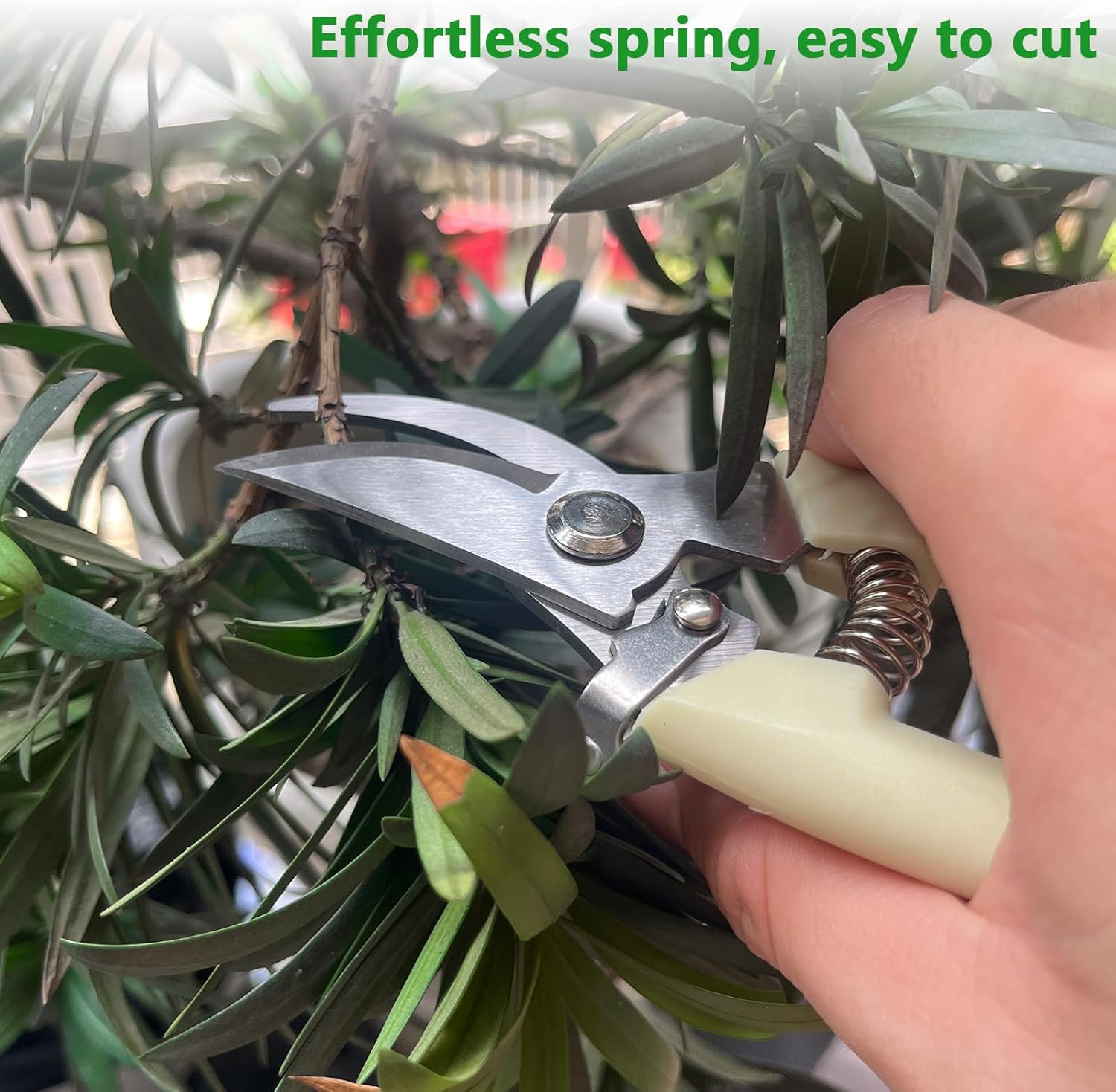 12 Pcs Garden Shears Flower Scissors Pruning Shears Floral Garden Clippers Hand Pruners Branch Cutter Gardening Tools for Plants Cutting, Trimming, Fruits Picking(Bypass, Straight)