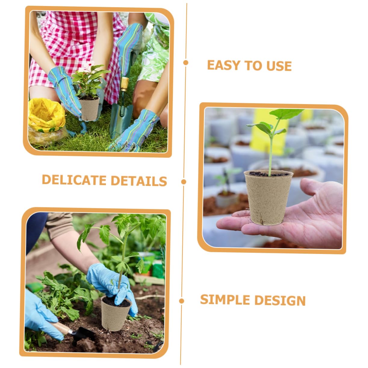 Lot De 100 Pots De Plantation En Papier Biodégradable 8 Cm - Pour Semis, Repiquage, Jardinage Intérieur/extérieur, Plantes Succulentes, Fleurs - 7