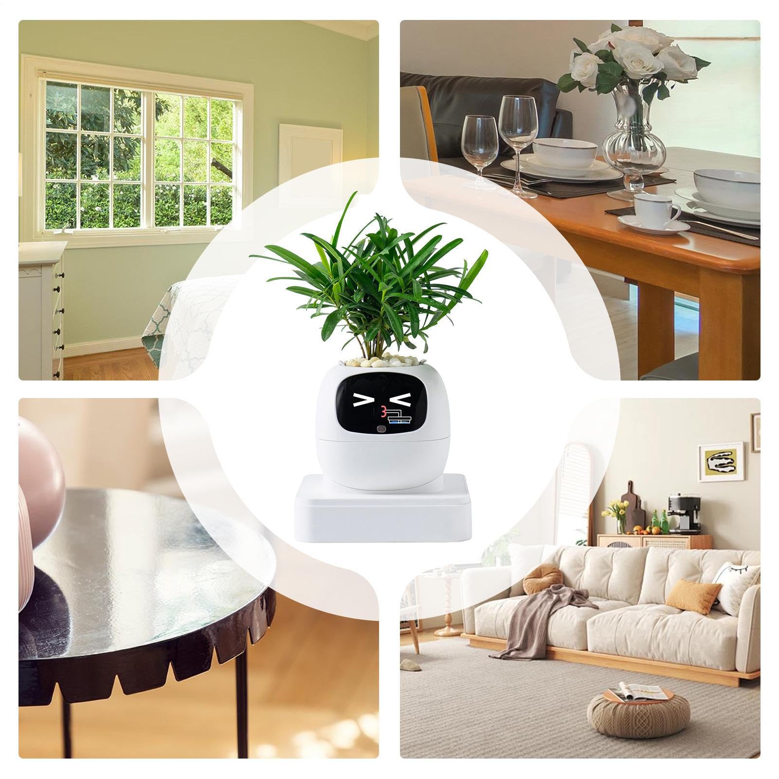 Vaso Intelligente Per Piante Portavasi Multifunzione con Espressioni | Fioriera Per Piante Grasse Per Interni Appartamento Balcone Patio Principianti Compleanno San Festa Della