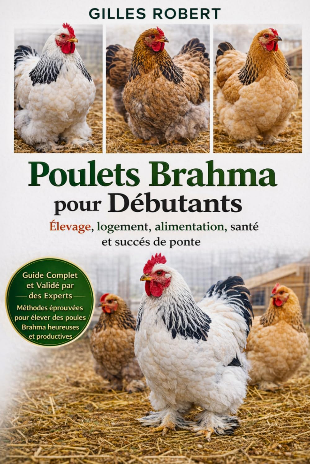 POULETS BRAHMA POUR DÉBUTANTS: Élevage, logement, alimentation, santé et succès de ponte