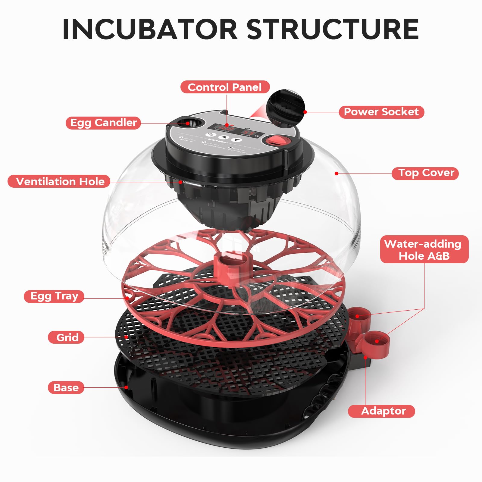 Incubadora de Huevos, Incubadora de 12 Huevos con Volteo Automático de Huevos y Humidificación automática, Incubadora para Huevos de Gallina, Codorniz, Pato, con Lámpara de Huevo