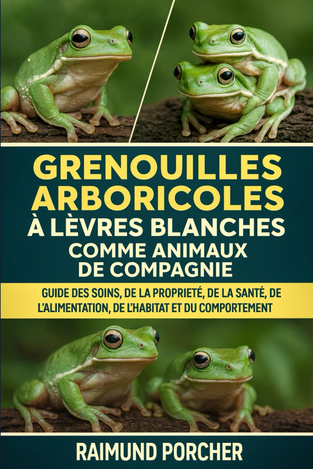 Grenouilles arboricoles à lèvres blanches comme animaux de compagnie: GUIDE DES SOINS, DE LA PROPRIÉTÉ, DE LA SANTÉ, DE L'ALIMENTATION, DE L'HABITAT ET DU COMPORTEMENT