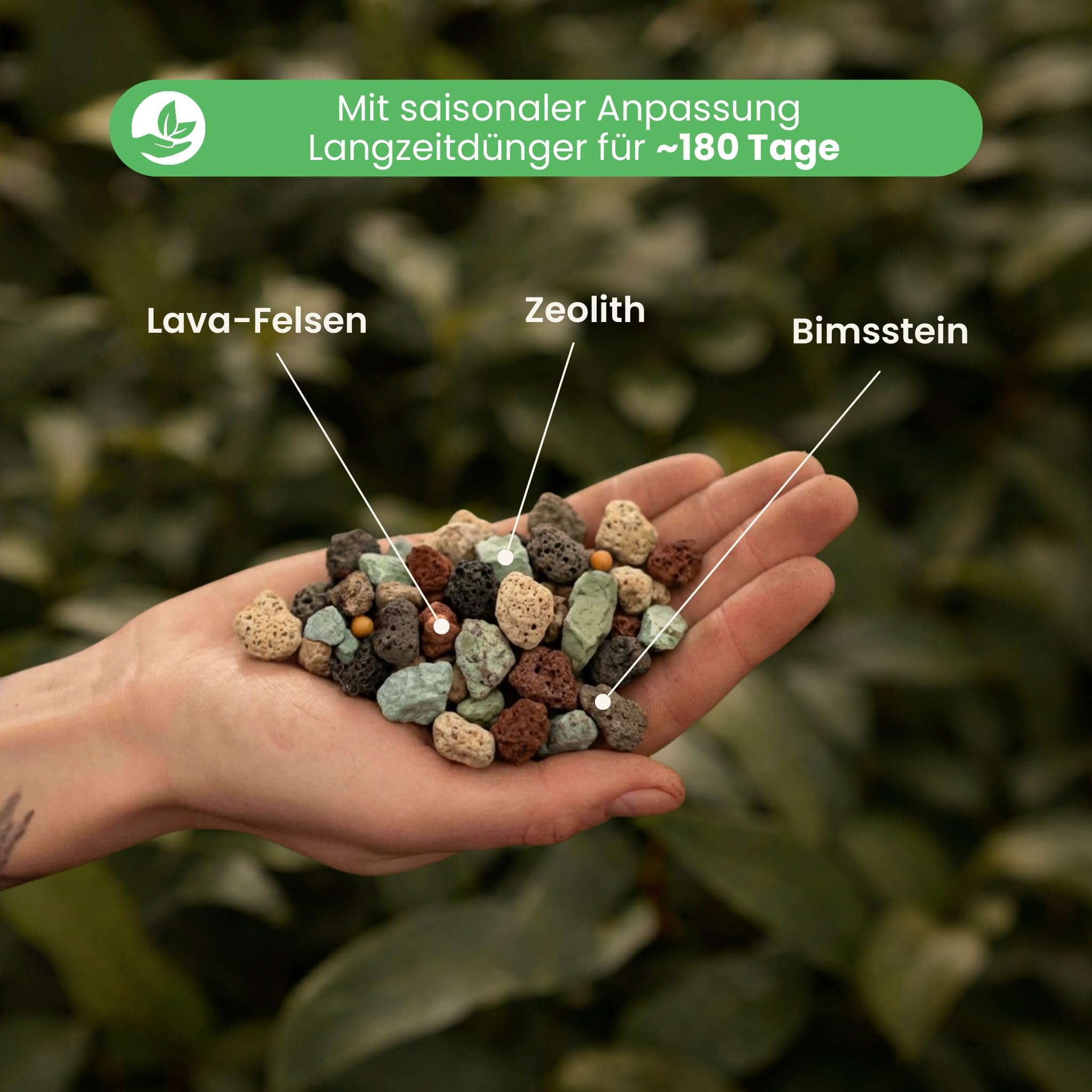 Sybotanica - Chunky Zimmerpflanzen Mineral-Mix - 5L - SYBAStones Mineralisches Substrat - 100% frei von Trauermücken - Hält jahrelang - ~180 Tage Pflanzennahrung - Für Zimmerpflanzen-Fans