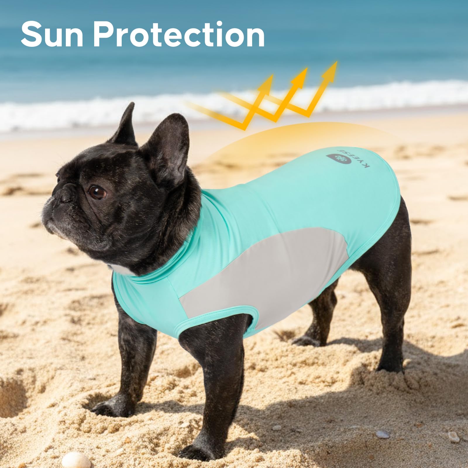 KYEESE 2Pack Dog Cooling Shirt, Breathable Dog Shirt for Small Dogs Boy, Sun Protection Reflective Pet Vest, Lightweight Soft Tank Top Sleeveless Summer Dogs Clothes, Blue, L - 5