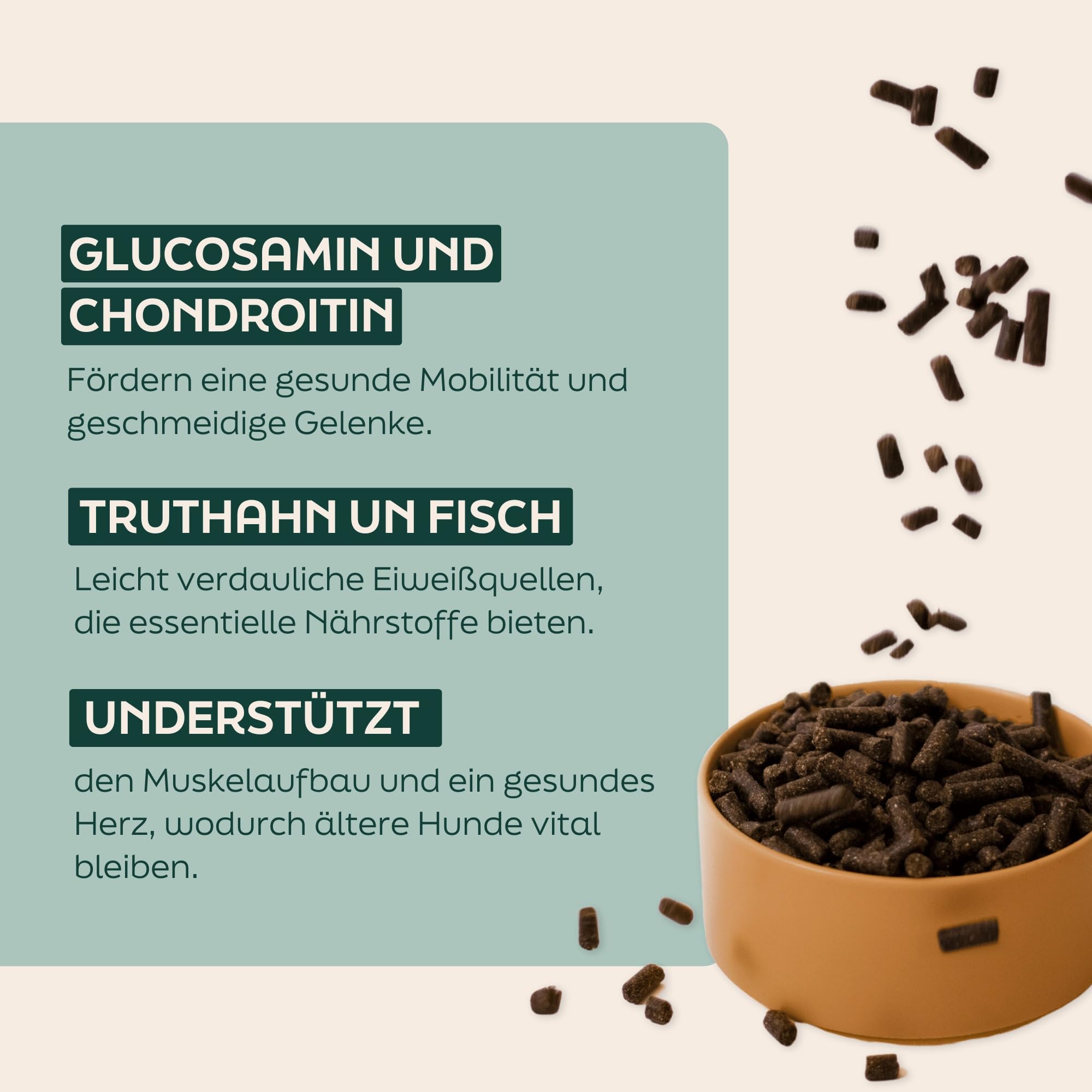 Senior Kaltgepresstes Hundefutter 18 kg Natürliche, getreidefreie Vollnahrung für ältere Hunde. Schonende Verdauung. Gelenkunterstützung. Stärkung des Immunsystems. Gesundes Gewicht
