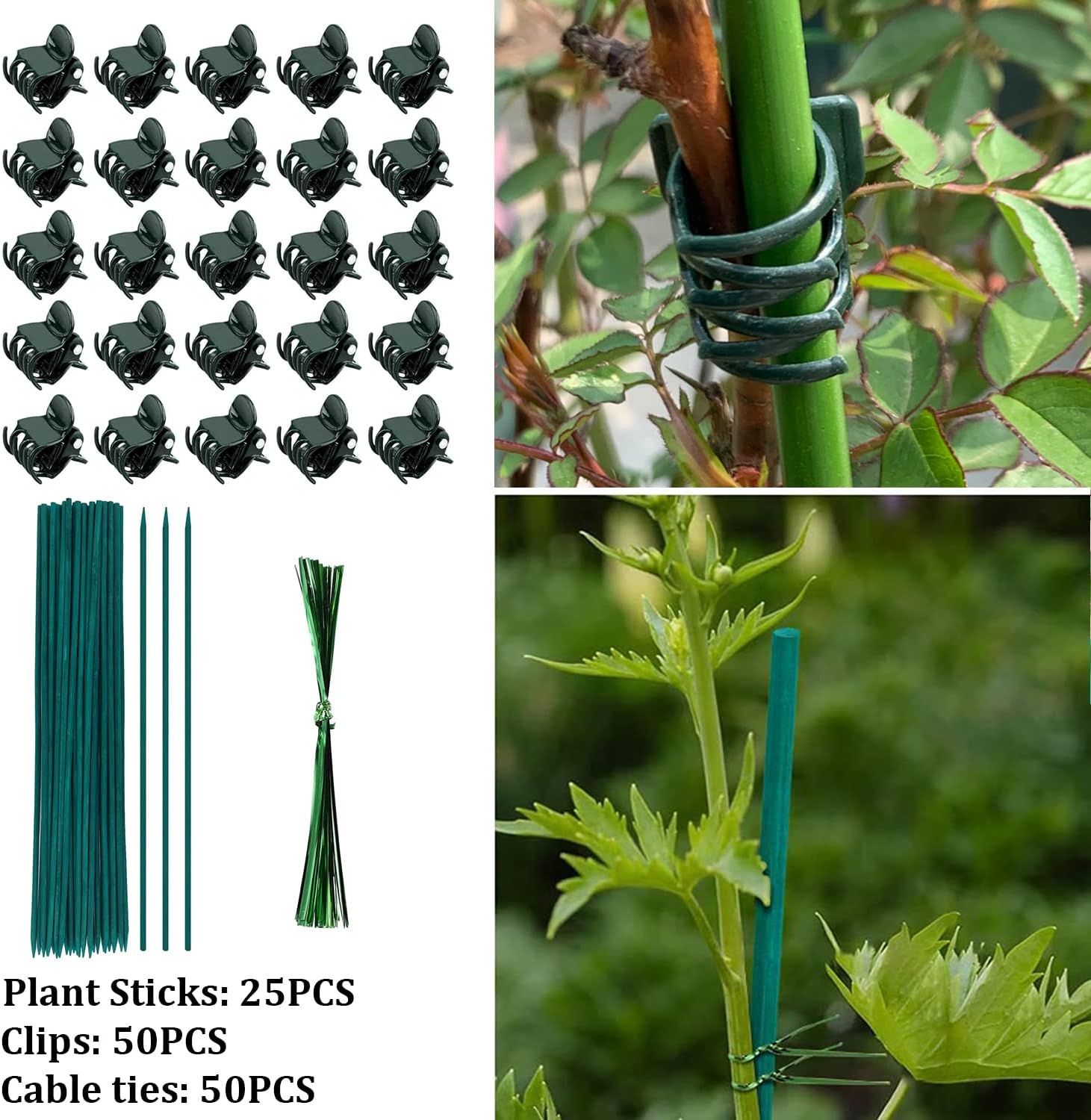 TSKDKIT Plant Support Sticks, 25 Pcs Bamboo Garden Stakes with Clips & Twist Ties - Image 4
