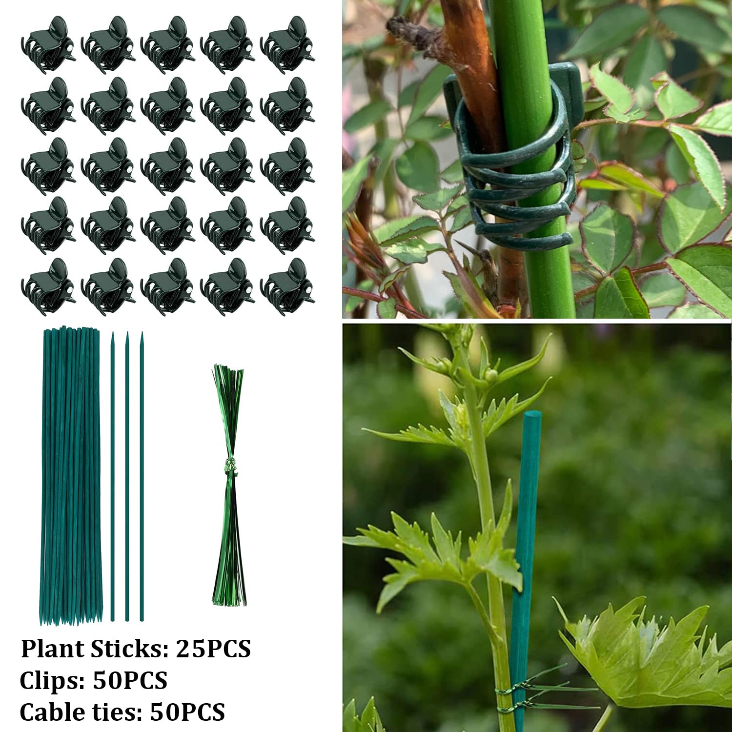 TSKDKIT Pflanzen Sttze und Pflanzenklammern 30cm Pflanzstbe Bambus  Pflanzenstbe Grne BlumenstBchen BambusstBe fr Haus Garten  Kletterpflanze ...