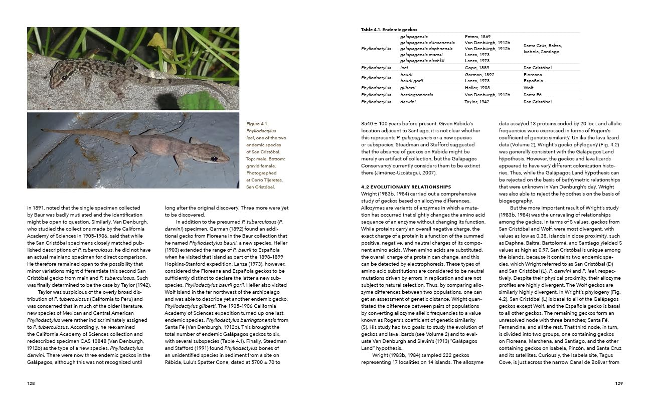 A Paradise for Reptiles: Lizards, Snakes, and Giant Tortoises of the Galápagos Islands, Volume 1: Tortoises, Geckos, and Snakes (Volume 1)