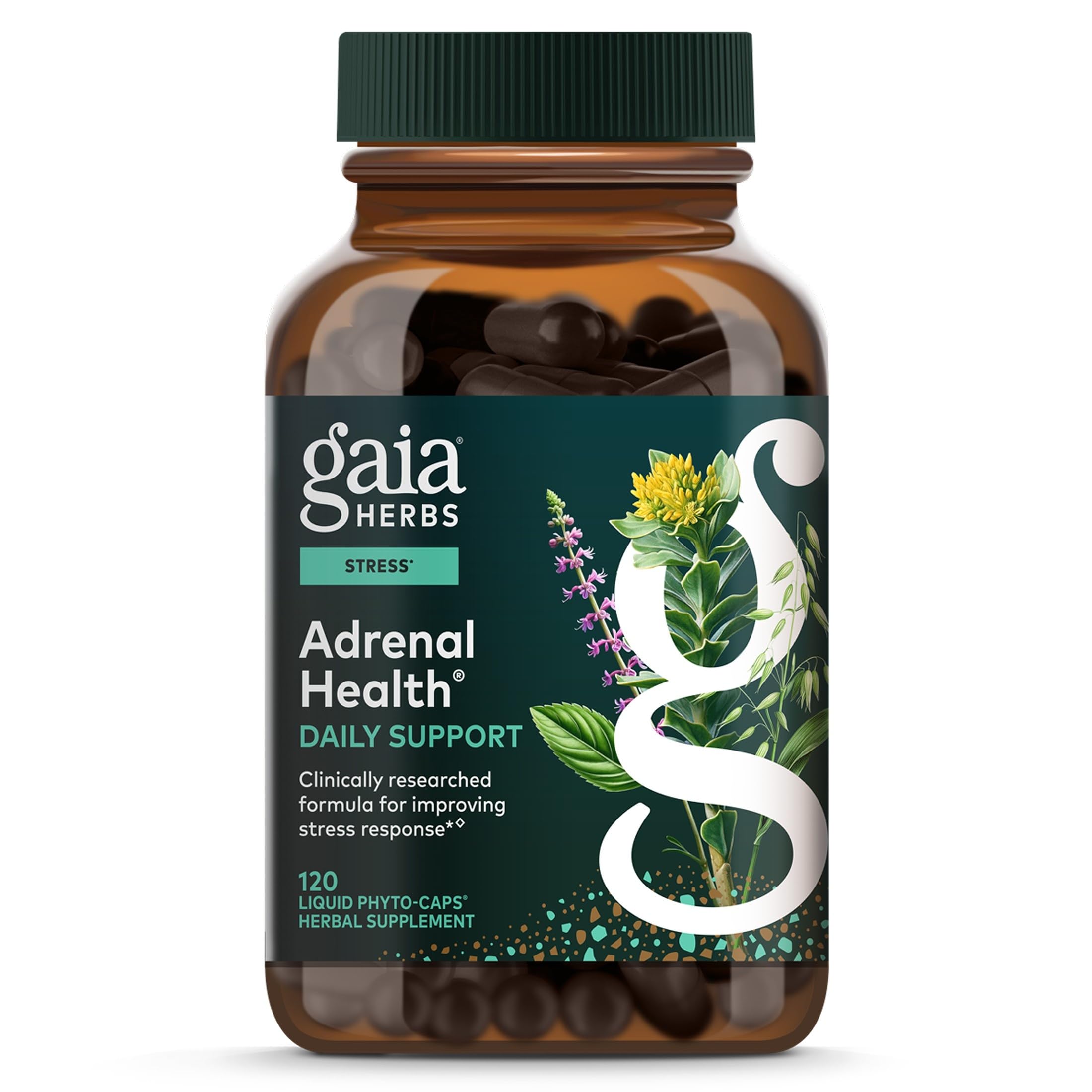 Gaia Herbs Adrenal Health Daily Support, 120 Vegan Capsules, 60 Servings 120 Count (Pack of 1) Standard Packaging