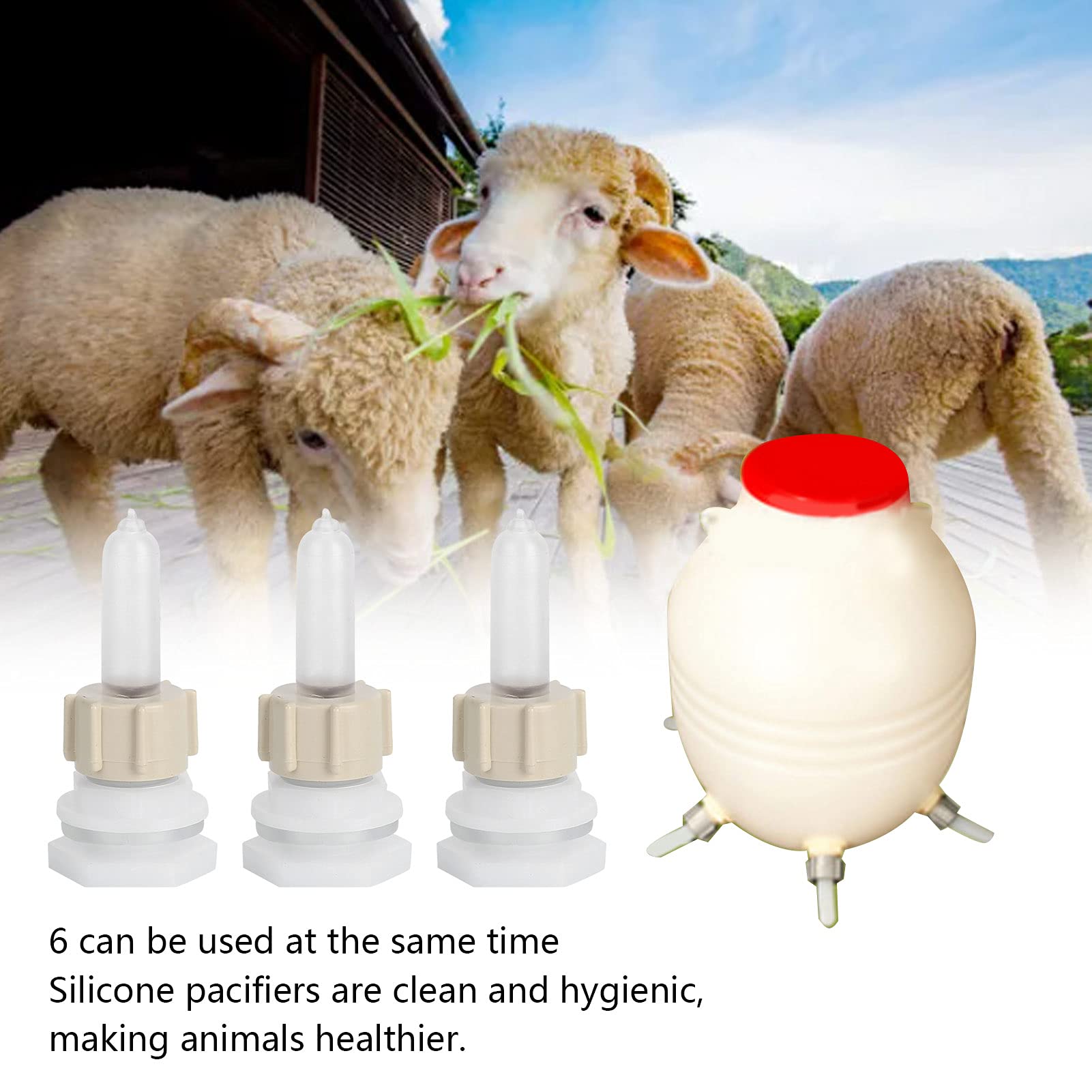 Betta Brain Wide Neck Baby Bottle Nipples, Size S, Round Hole, Fast Flow, 2-Pack, for 2+ Months