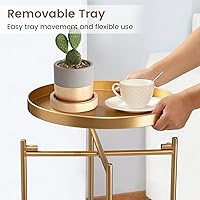 Vista 4 de danpinera Mesa auxiliar de 2 niveles, mesa auxiliar al aire libre, escritorio redondo de metal con bandeja extraíble, pequeño escritorio plegable