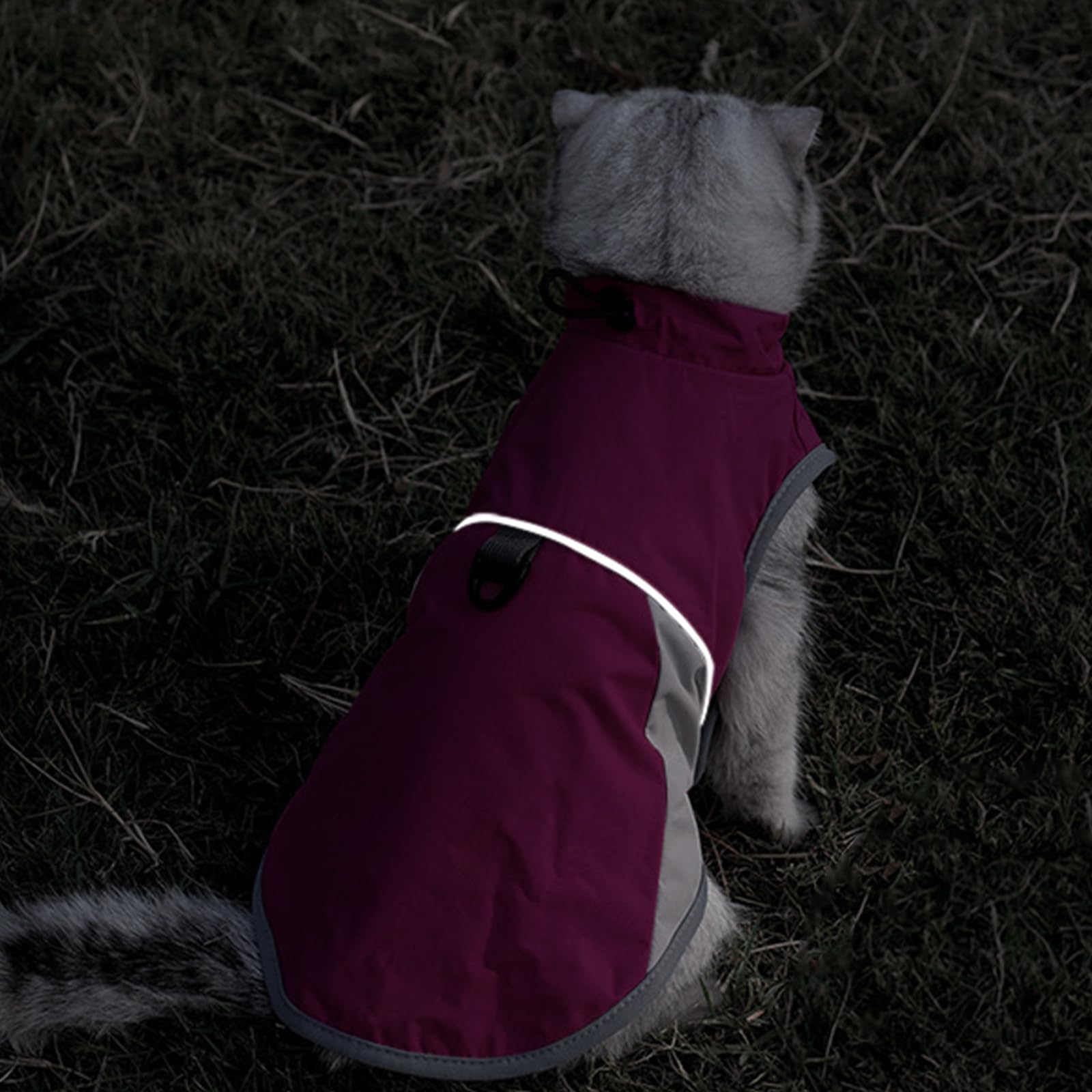 Manteau d'hiver pour Chat,Veste pour Chat et Chien Coupe-Vent et Chaud,Vêtements pour Chat,Manteau Chaud pour Animaux,Pull-Over pour Chat,pour Chats de Petite, Moyenne et Grande Taille (Gris,S,1)