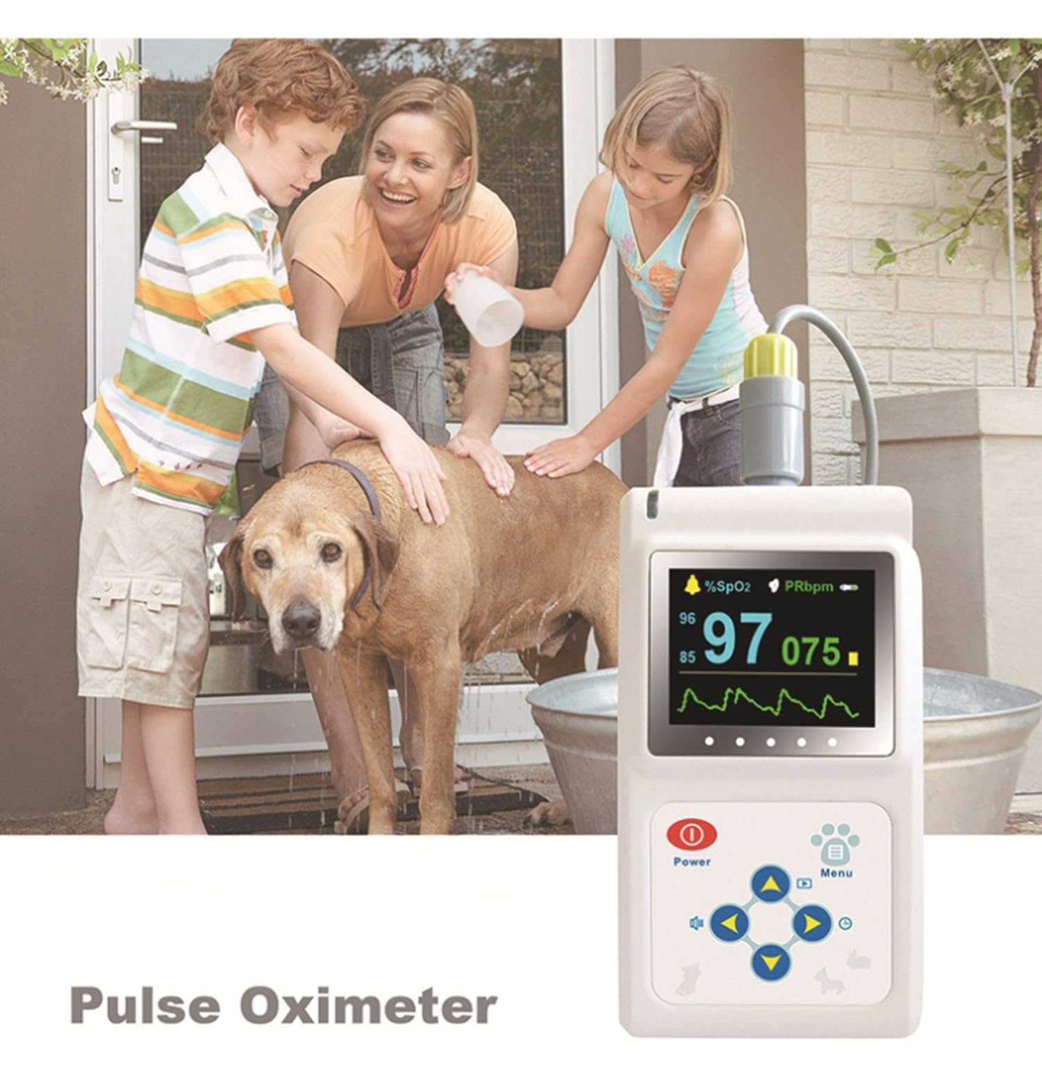 BLUEZY Tragbares Veterinär-Pulsfrequenzmessgerät, Veterinär-Pulsoximeter Mit Sonde Und USB-Kabel, Speicher- Und Wiedergabefunktion Für Katzen, Hunde, Haustiere Krankenhaus
