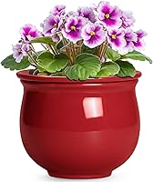 Vista 20 de Macetas de riego automático de 6 pulgadas para plantas de interior, macetas de cerámica violeta africana con maceta interior absorbente, maceta