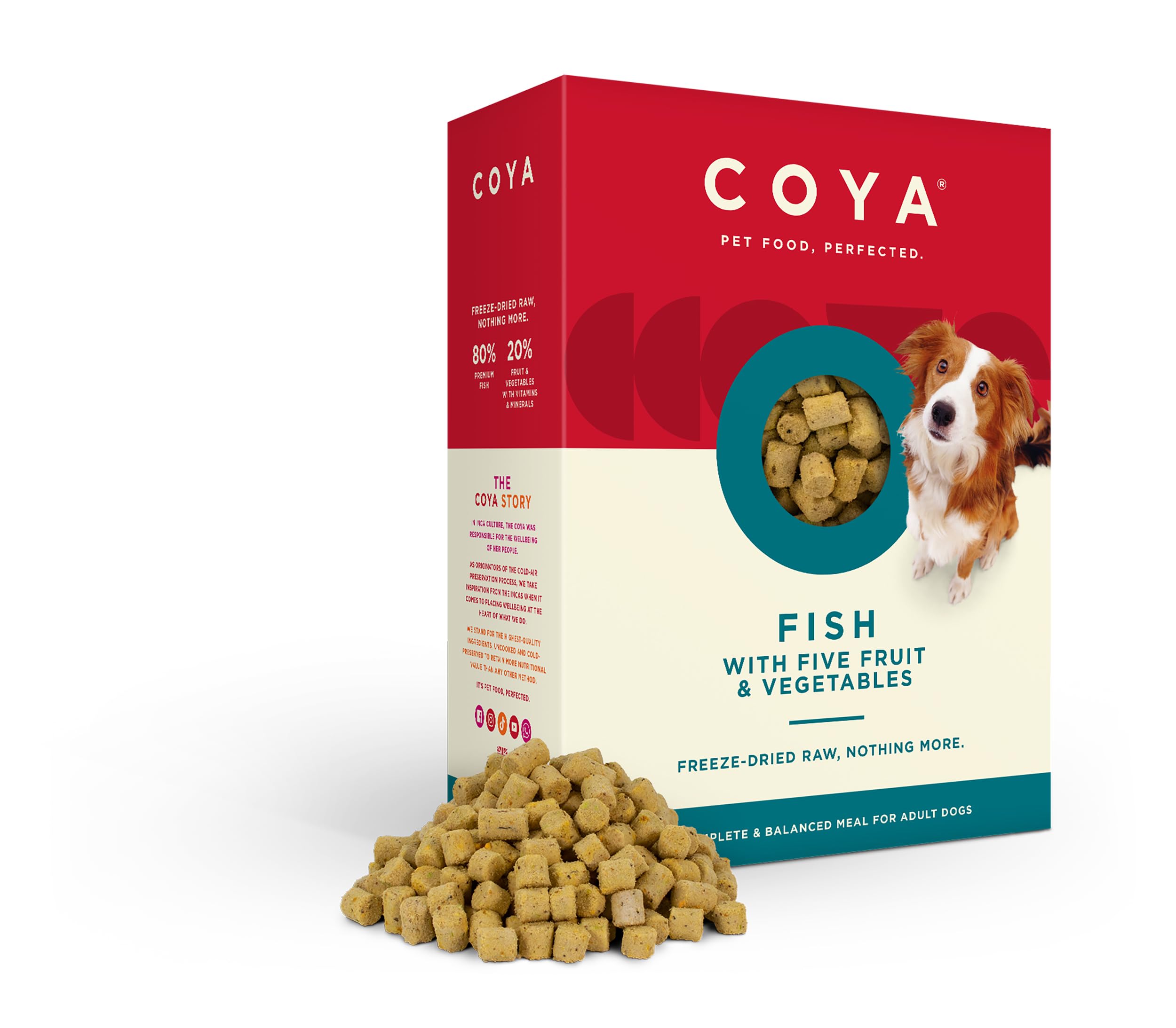 COYA Freeze-Dried Fish Dog Food, Hypoallergenic & Grain Free, 650g - 80% Fish, 20% Fruits & Veg | Easy, Complete Raw Solution