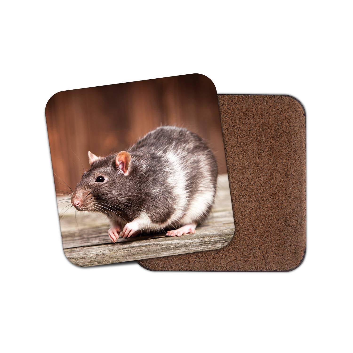 Destinationvinyl Multicolor 1 X Adorable Pet Rat Coaster - Rats Rodent Mice Cute Fun Mouse Kids #8686