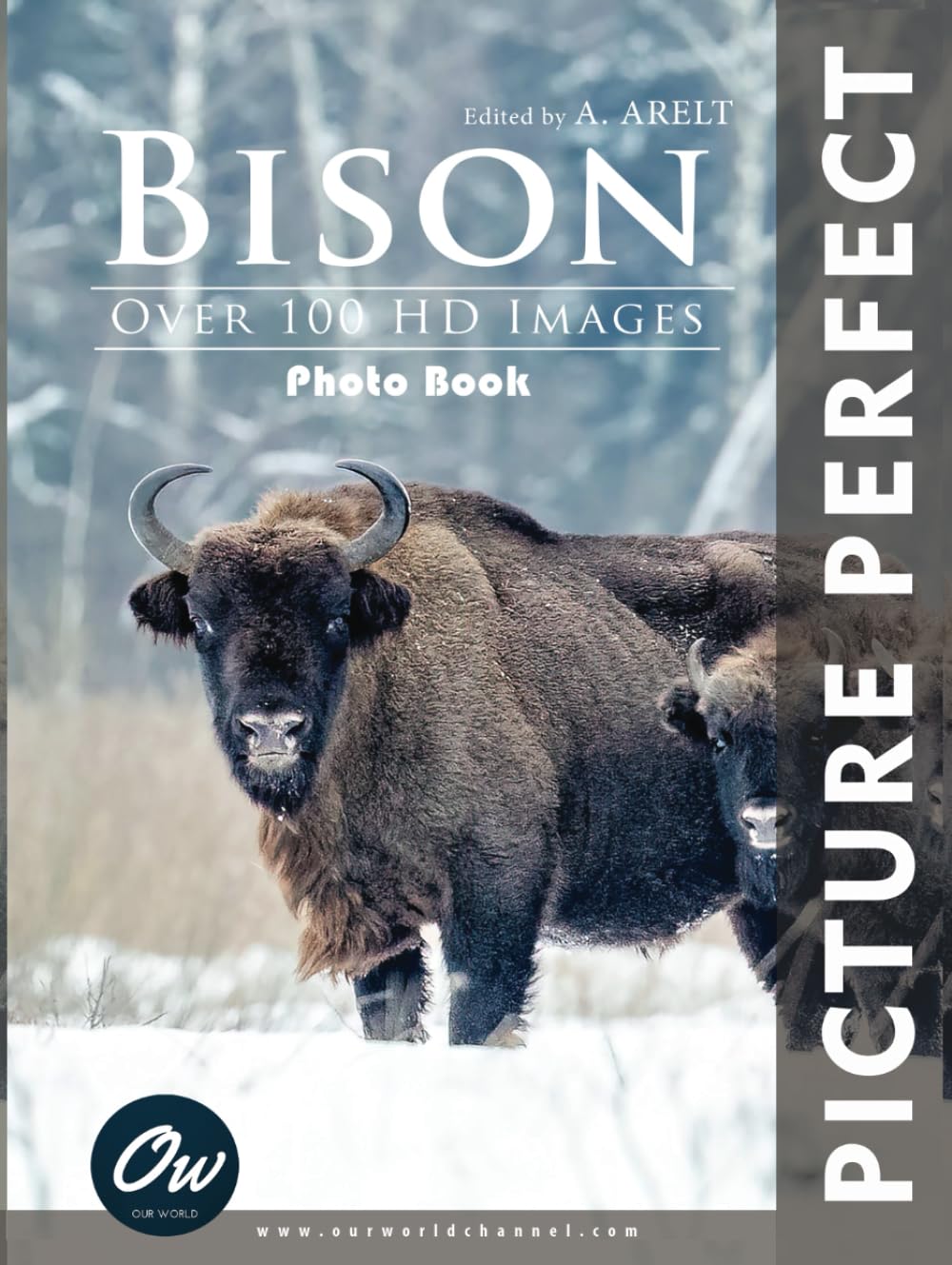 Bison: Perfect Picture Photo Book (Picture Perfect Photo Book)