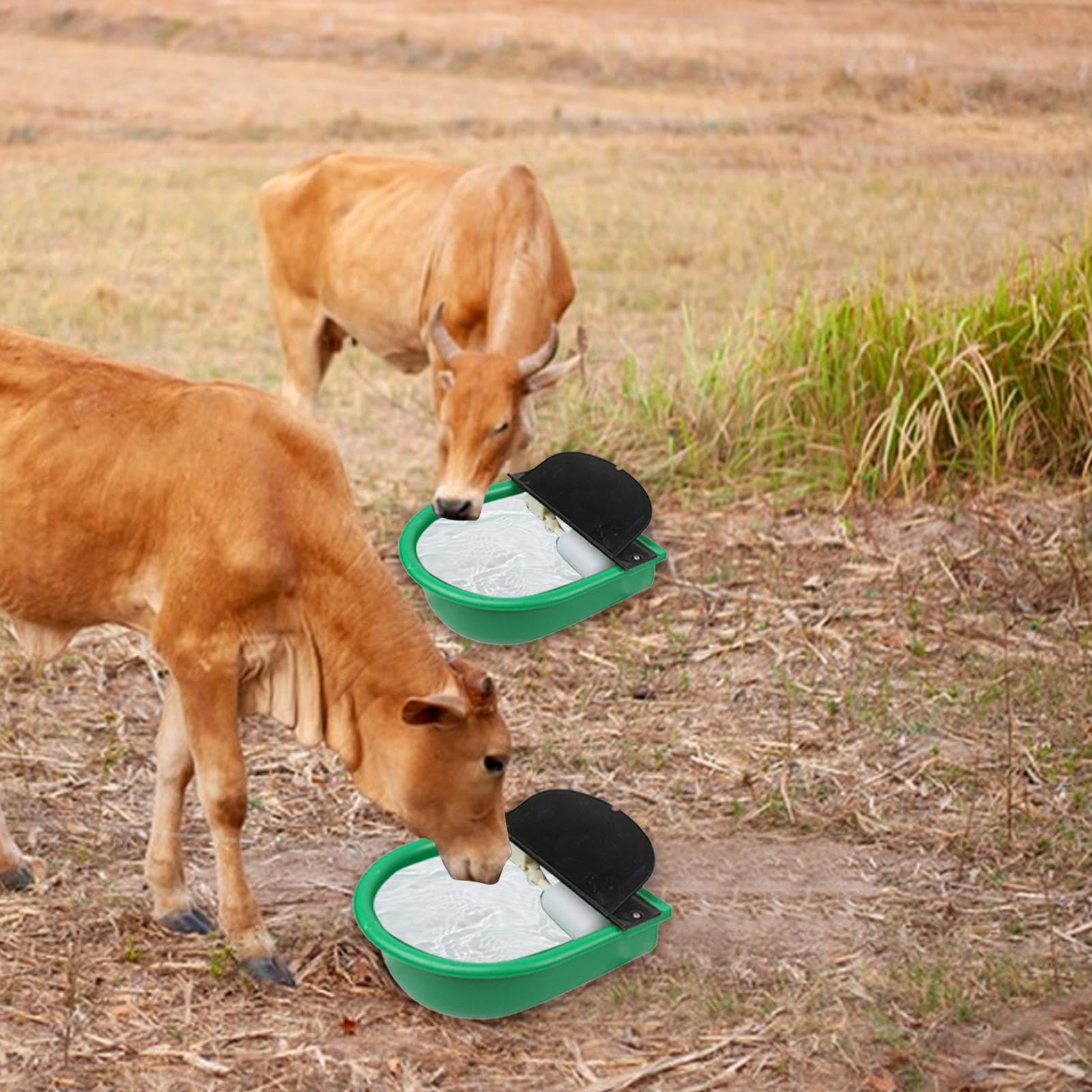 Bol D'Eau Automatique à Flotteur Pour Animaux (Vache, Cheval, Chèvre) - 27,5x26,5x12,5 Cm, ABS, Couvercle Rabattable