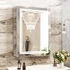 High-End Led Mirror Cabinet,Lighted Mirror Cabinet,3 Colors&Dimmable,Demister,Lighted Glass Shelf,USB Shaver Socket,Surface Mount or Recess Mount,51×71cm