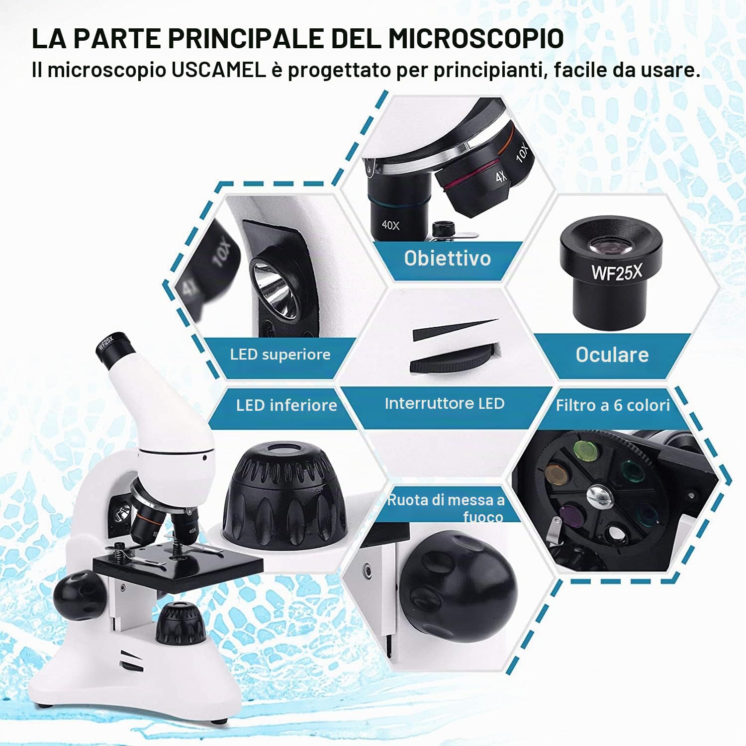 USCAMEL 40X-2000X Microscopio per Bambini Studenti Adulti, con Vetrini per Set, Microscopio Professionale per Scuola Laboratorio Home Biologico Enducation