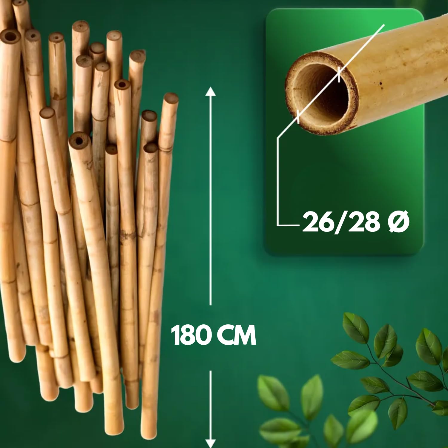 Canne Bambù Giardinaggio Naturali Set 50 Cannette 26/28 Ø x 180 cm Bastoncini Supporto Piante Orto Sostegni Tutore Pali Resistenti Rampicanti Giardino Pomodori Melanzane