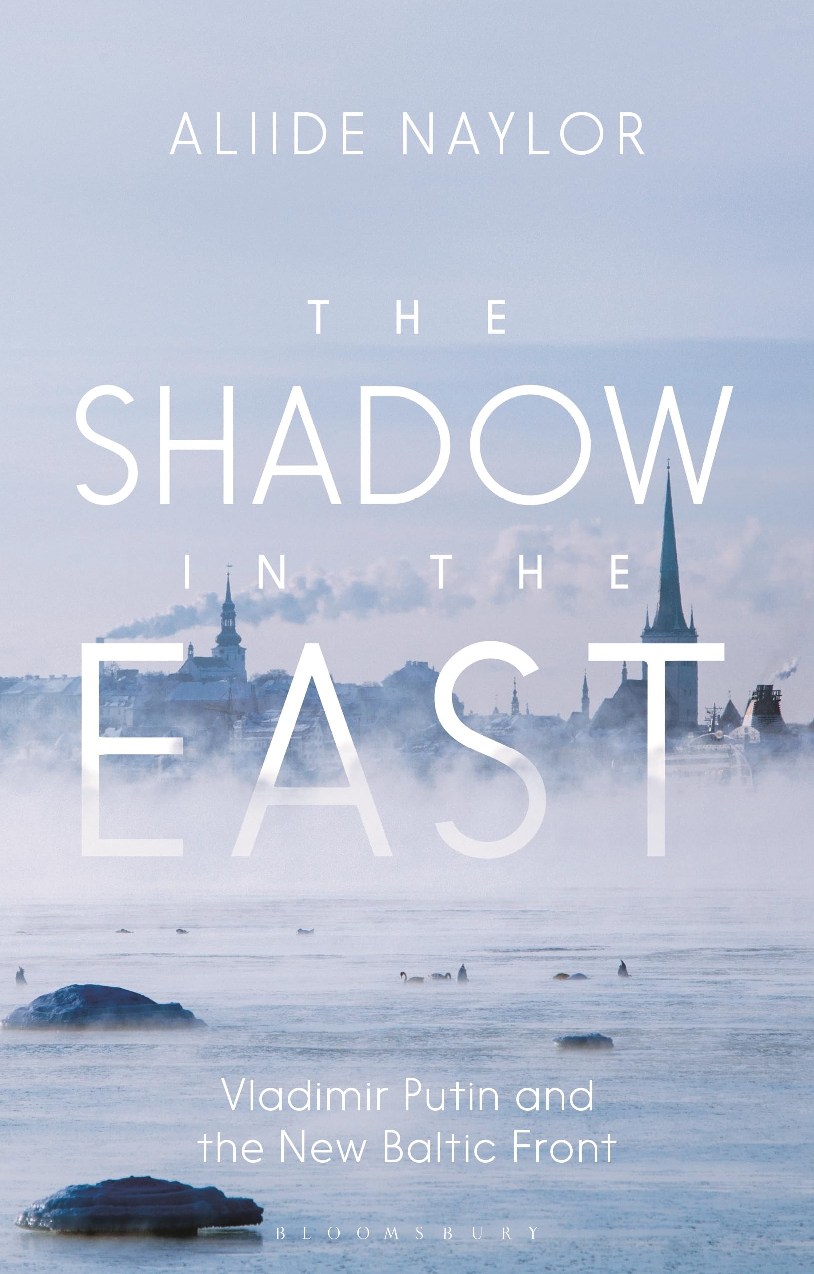 Shadow in the East by Dr Aliide  Naylor (Paperback Book)