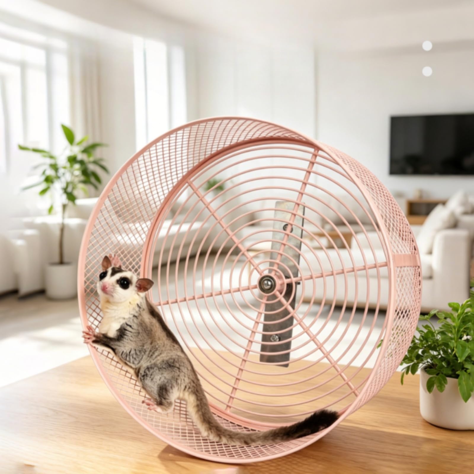 Roue pour Rongeur Silencieux, Color to 2, 25 Cm | Roue En Acier Inoxydable, Non Traité, pour Cage, cage