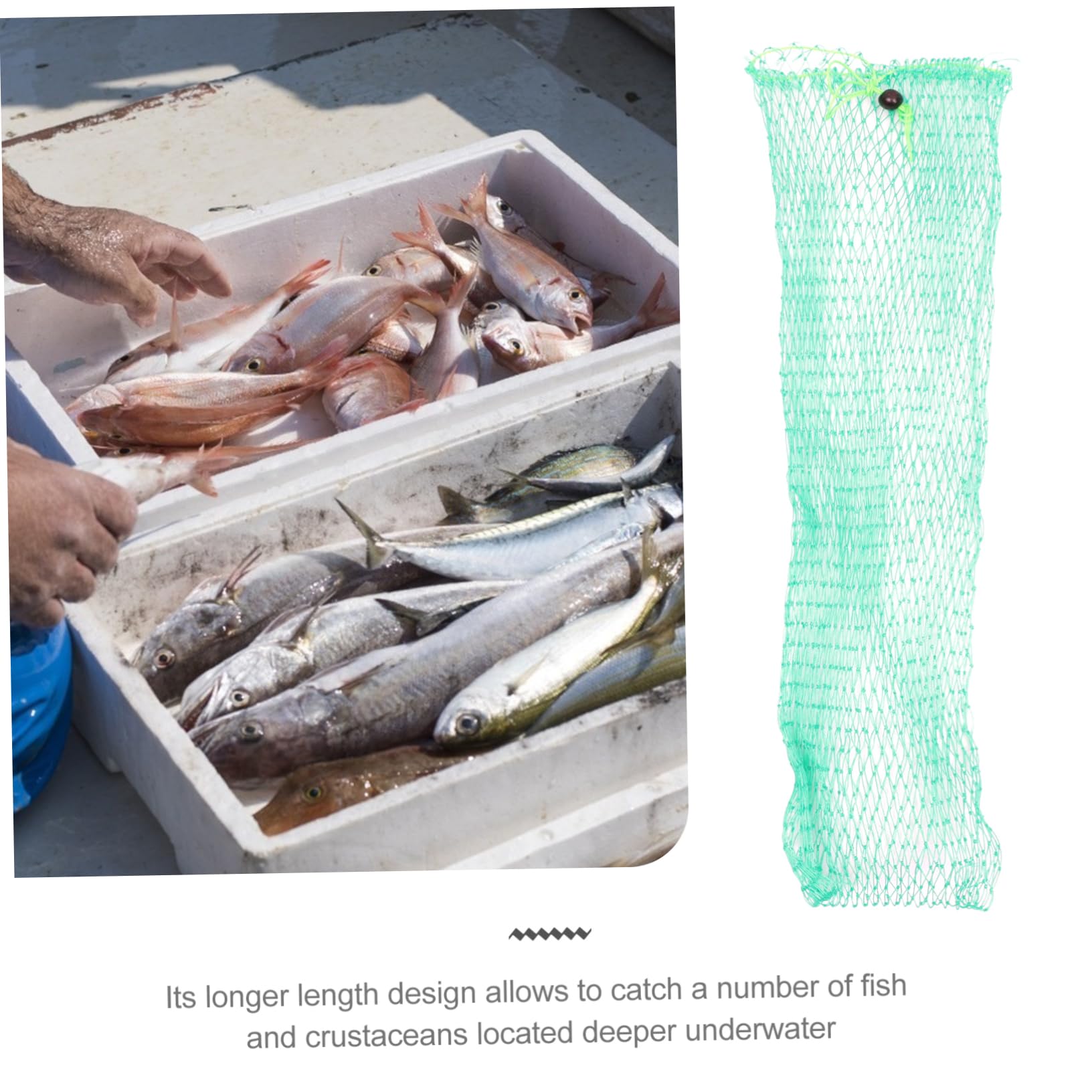 Sosoport 6 Set Di Reti Da Pesca Per La Cattura Di Carpe Retino Da Pesca Intrecciato Retino Da Pesca Per Pesci Di Grandi Dimensioni Gabbia Per Pesca A Mosca 2 Pezzi * 6
