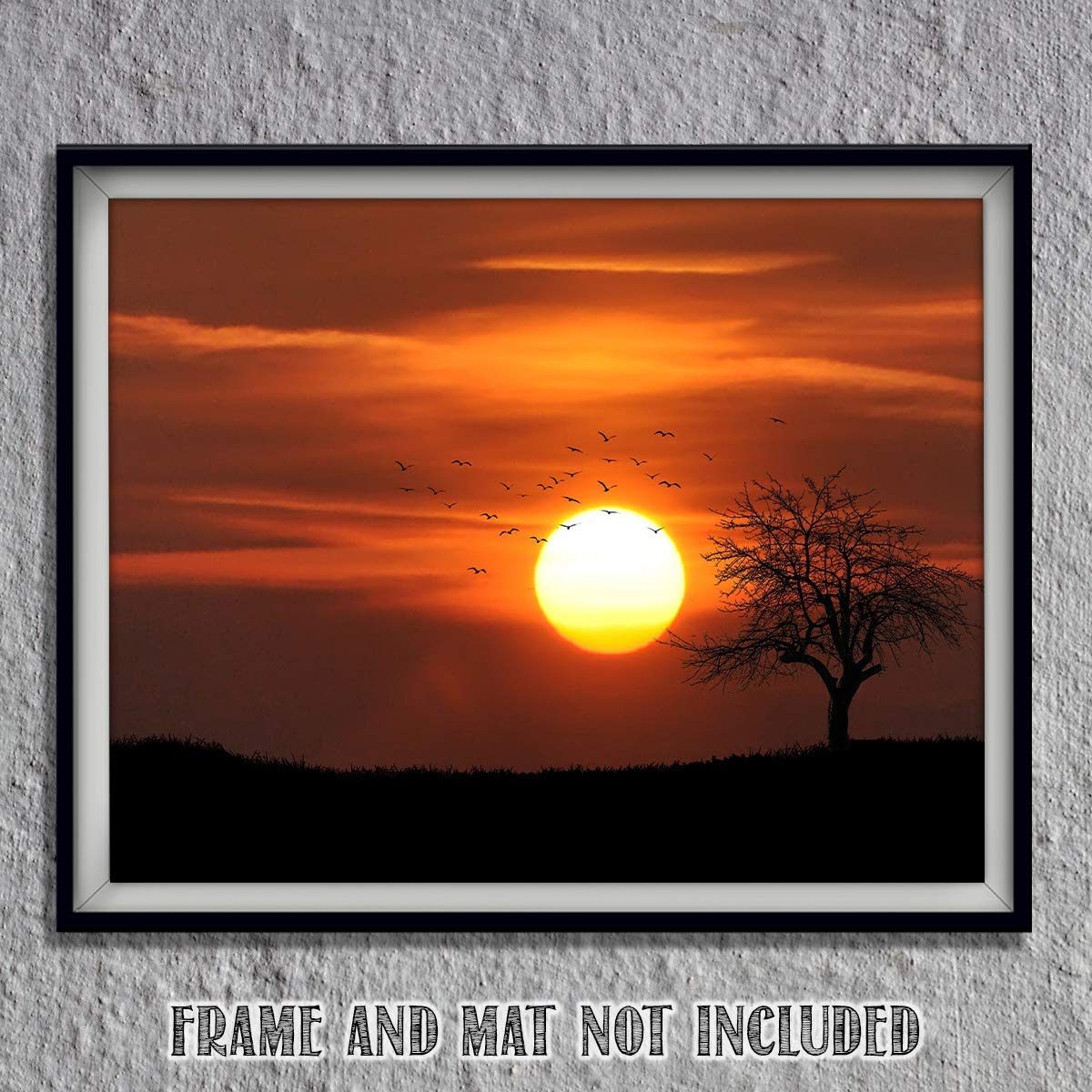 Sunset on African Plains - Nature Wall Art, Gorgeous Sunset with Tree & Birds on SerengetiIdeal Print, Ideal For Home Décor, Office & Nursery Decor. Great Gift for Safari Lovers - Unframed - 8x10
