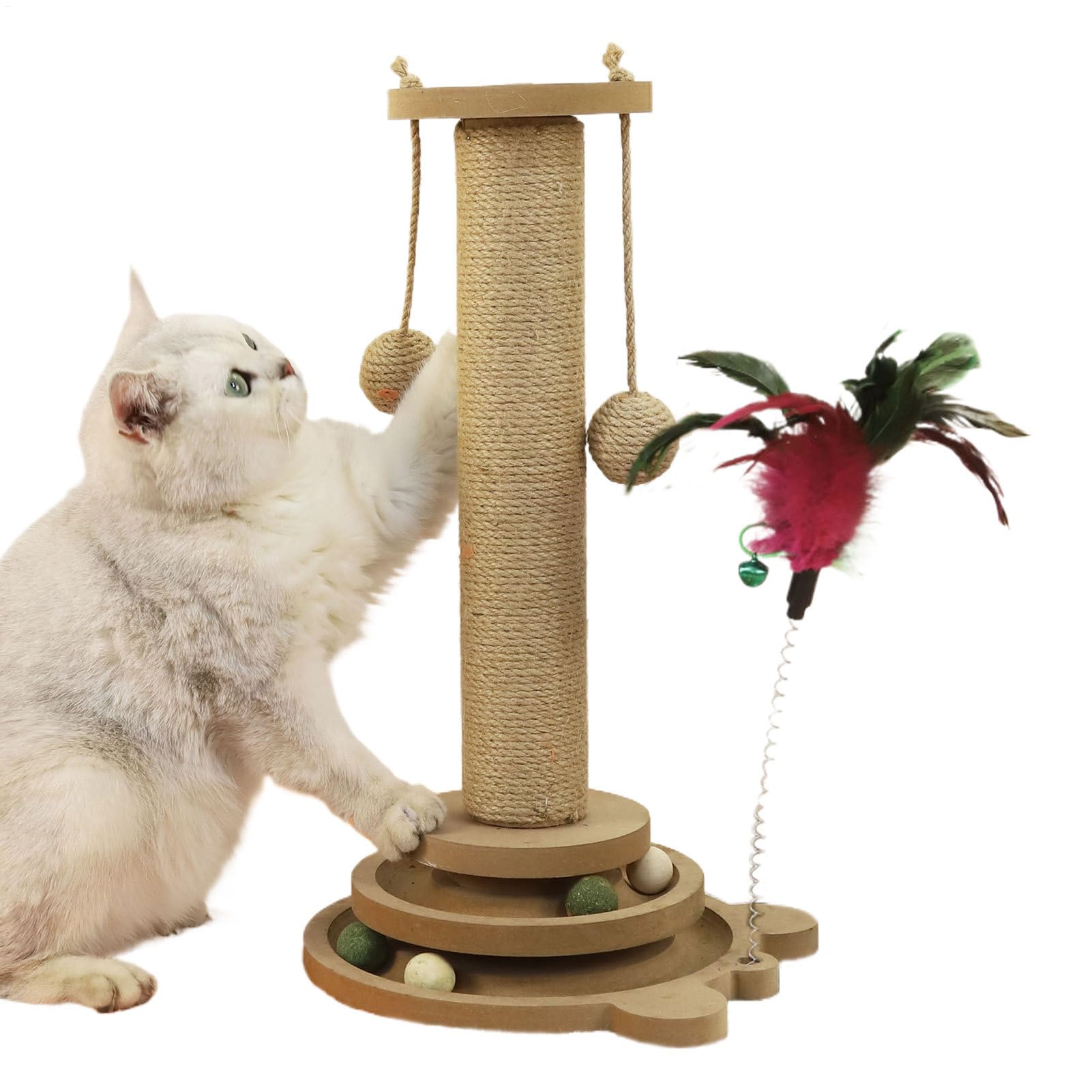 Griffoir pour Chat Circuit À Balle pour Chat