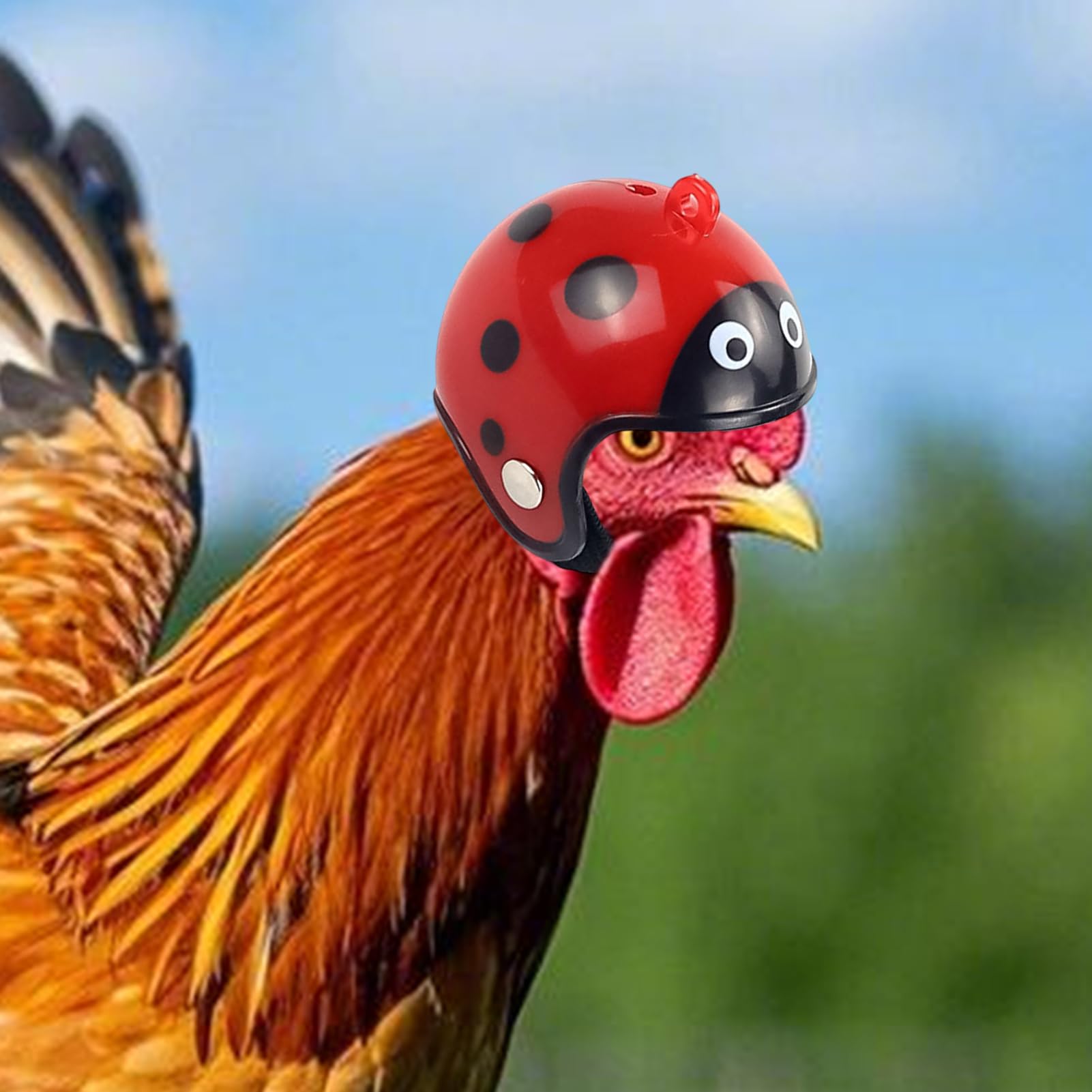 Cappello di pollo per galline - Funny Chicken Hard Hat con cinturino, casco per copricapo | Coppia di sicurezza della gallina leggera per il parrocchetto per pappagalli di uccelli, tappo per costumi p