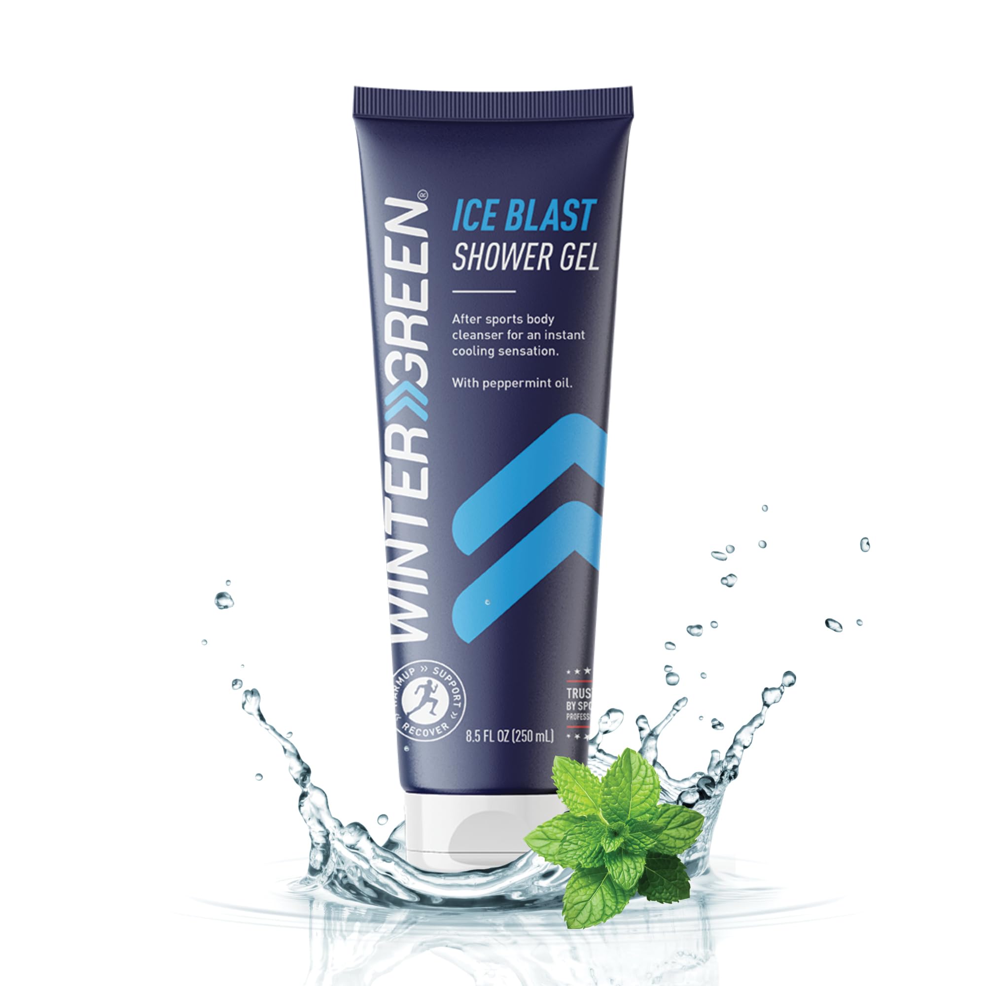 Amazon.com : Wintergreen Ice Blast Shower Gel, 8.5 oz – Cooling