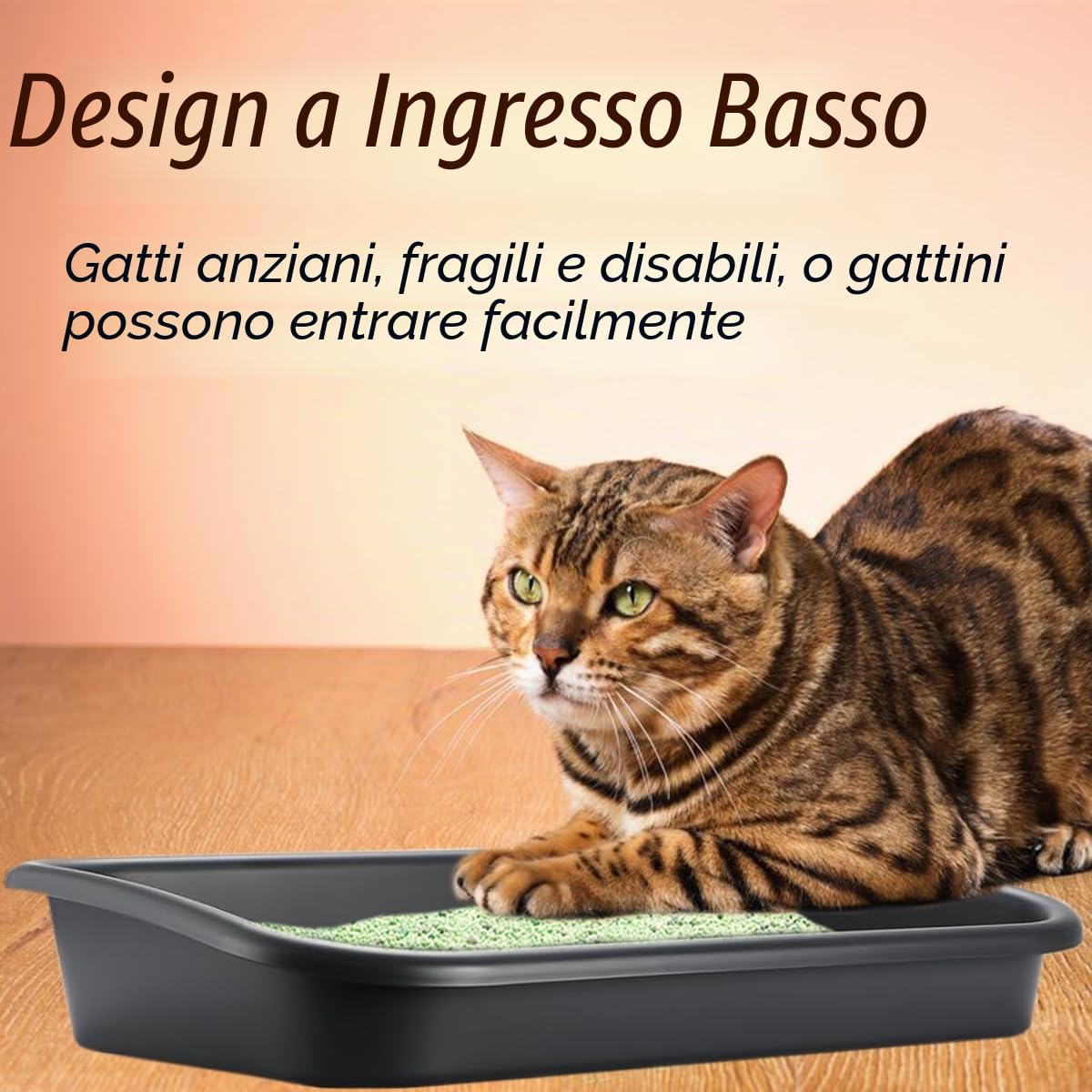 Lettiera per gatti anziani con ingresso basso, 3 pezzi, dimensioni extra large, con ingresso basso, apertura superiore, per gattini, disabili, anziani e gattini, facile da pulire (grigio scuro)