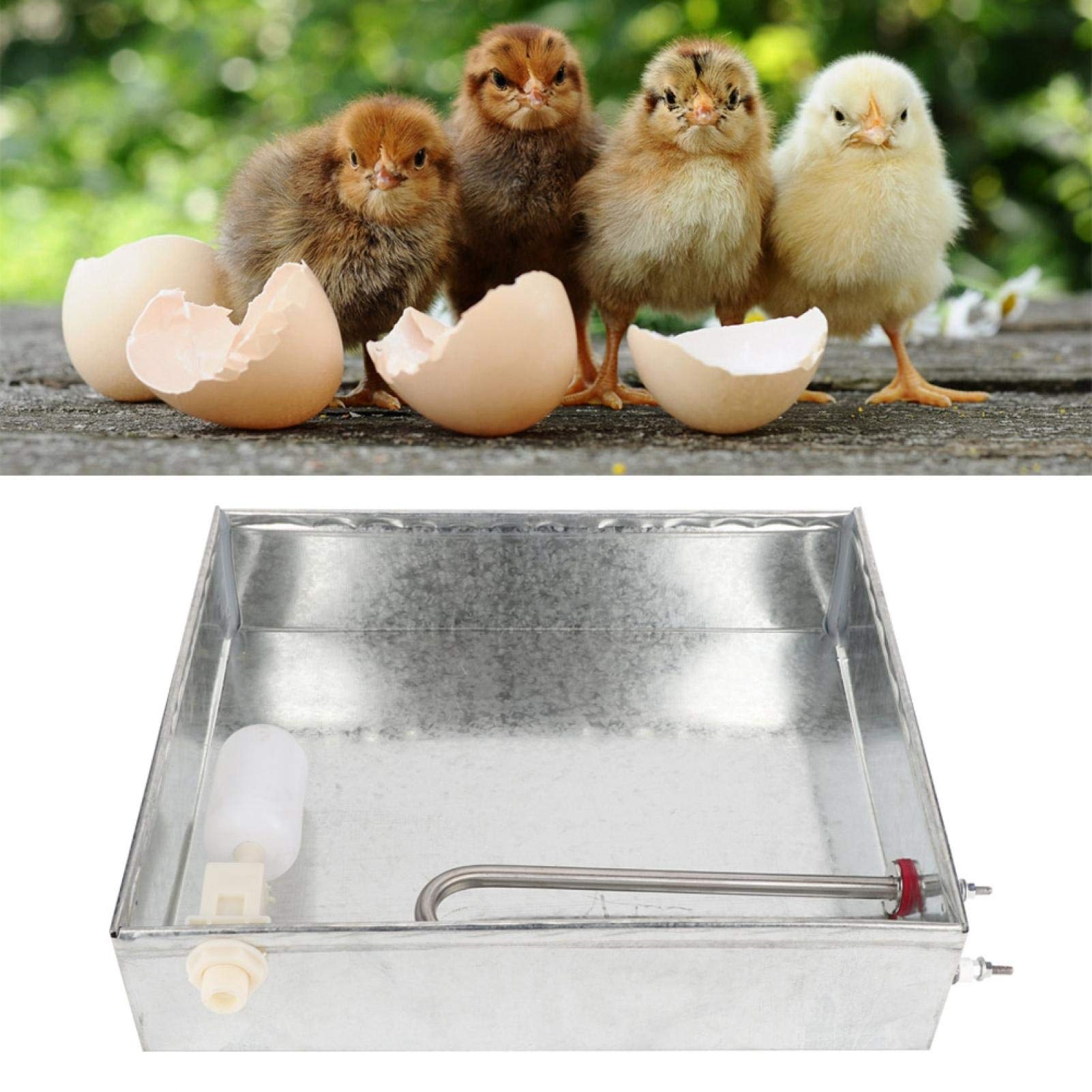 Inkubator Befeuchten Zubehör, Inkubator Schwimmerkugelhahn, Brutmaschine Befeuchten für Chicken Goose Duck Wachtel