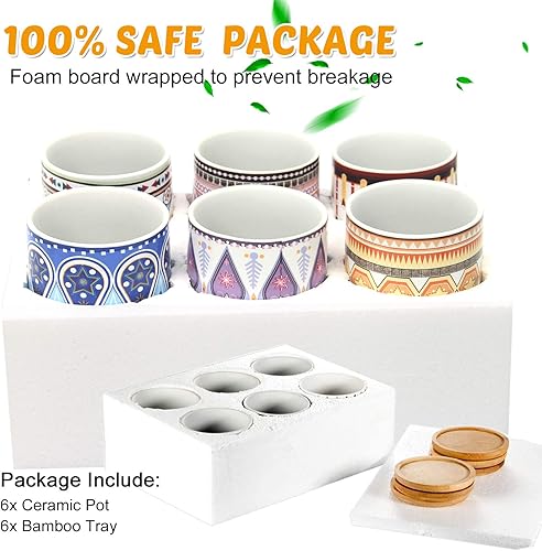 Miniatura 5 de Feoxialy Succulent Plant Pots 6 Pack with Drainage 3.1 Inch Cylinder Flower Pots Small Ceramic Pots for Plants Indoor&amp;Outdoor Garden Flower Planter