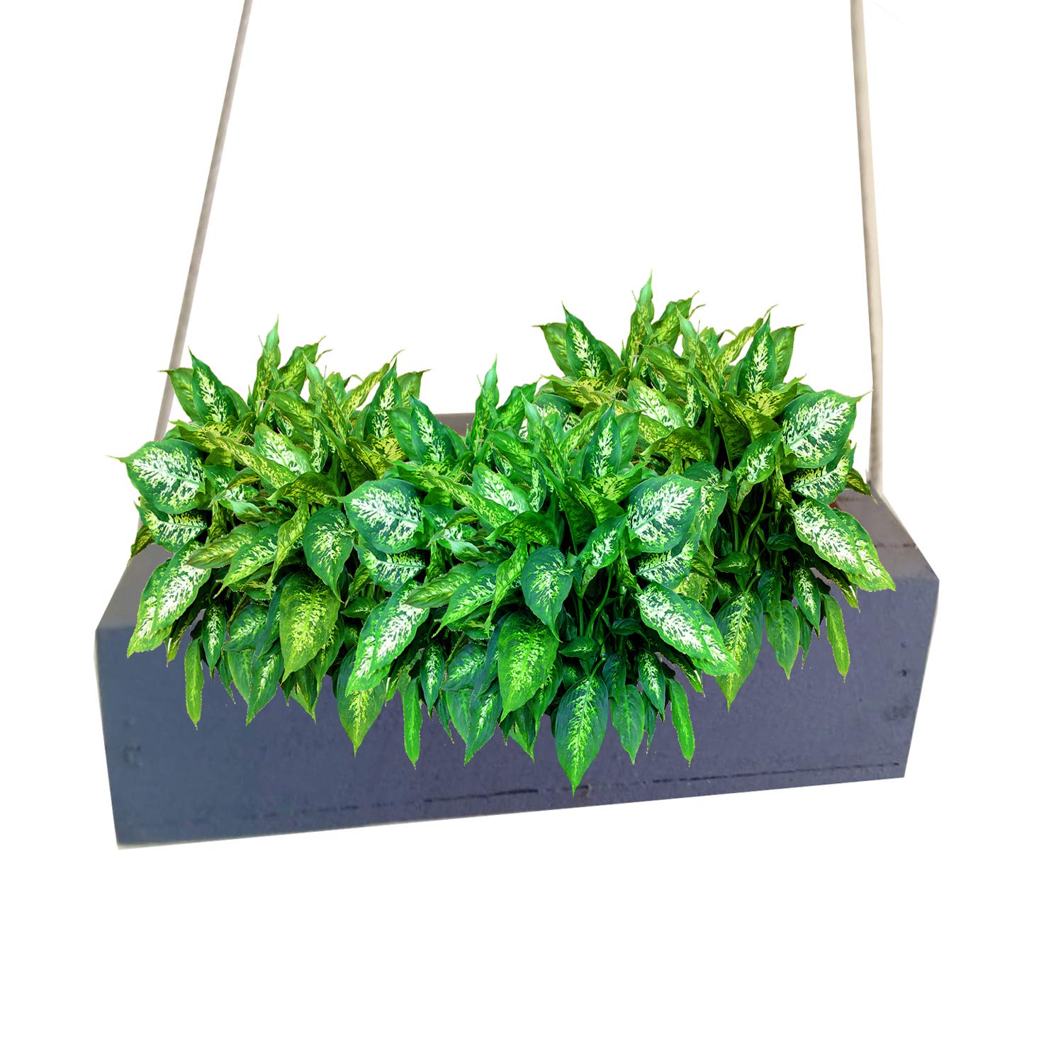 LIVEONCE Wood Box Planter Hanging -Color-Grey (B08HQ65DQ1) Amazon Price History, Amazon Price Tracker
